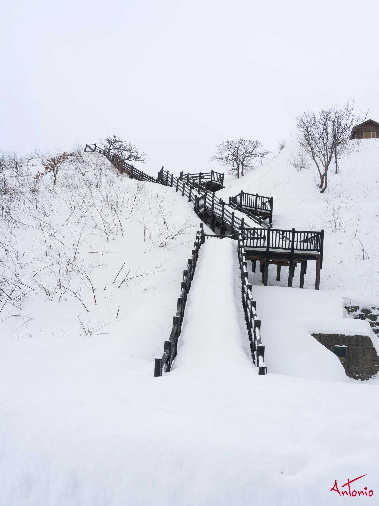 20240112_081113 B0003546 Hokaido.jpg