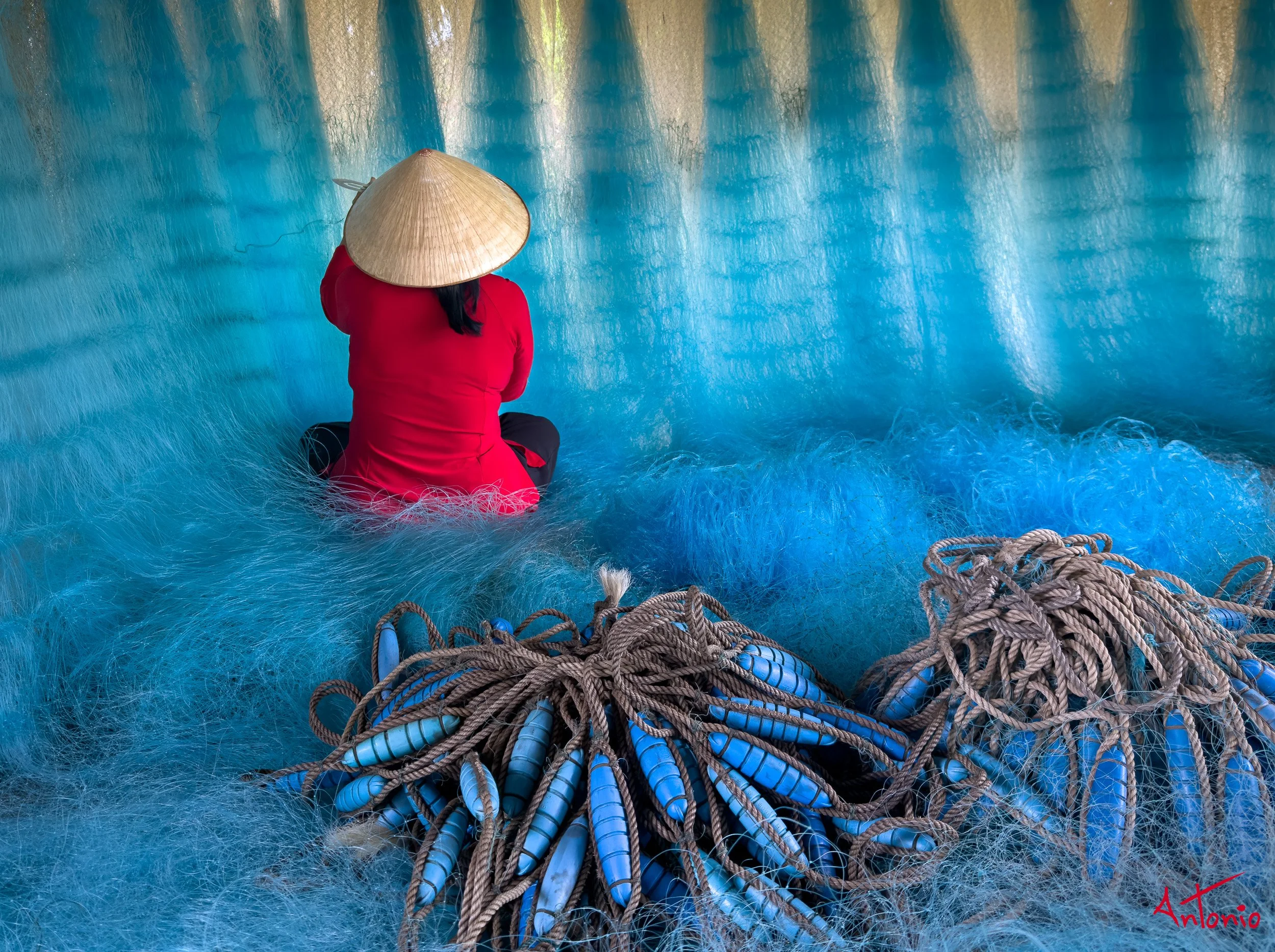 20260129_095454 Da Nang, Vietnam.jpg
