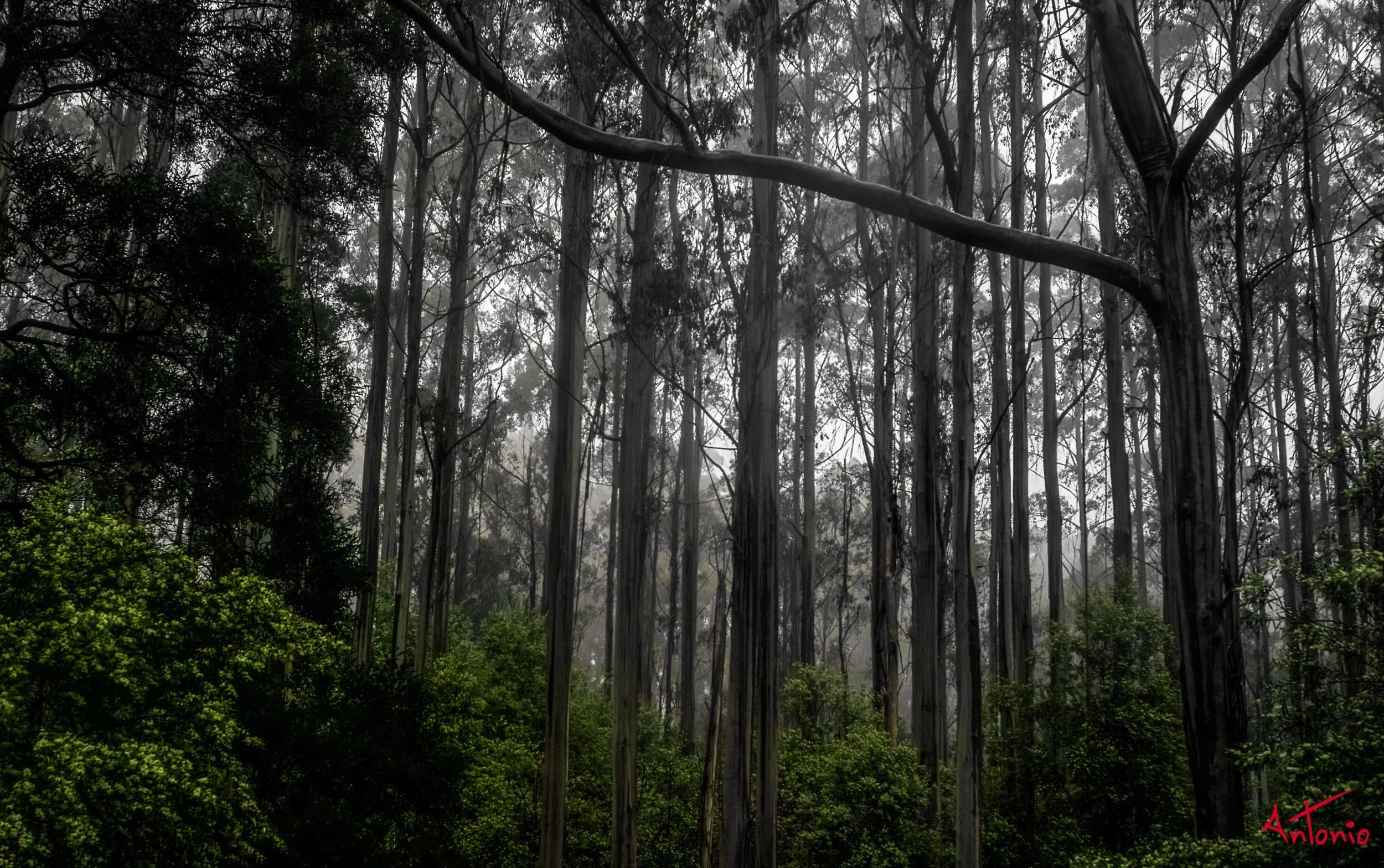 20031122_142548 Melbourne.jpg