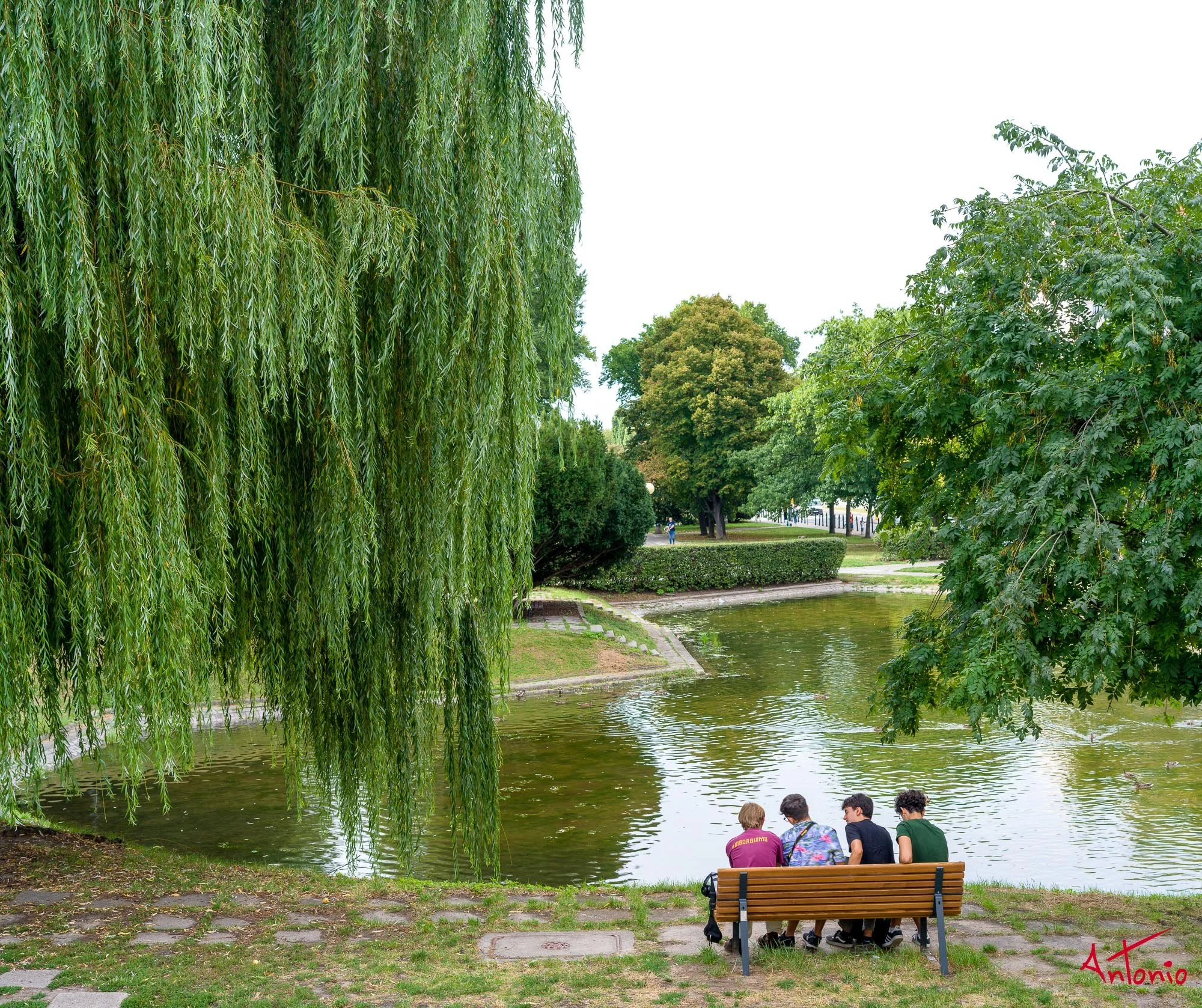 20240823_165604 B0006586 Varsovia, Polonia.jpg