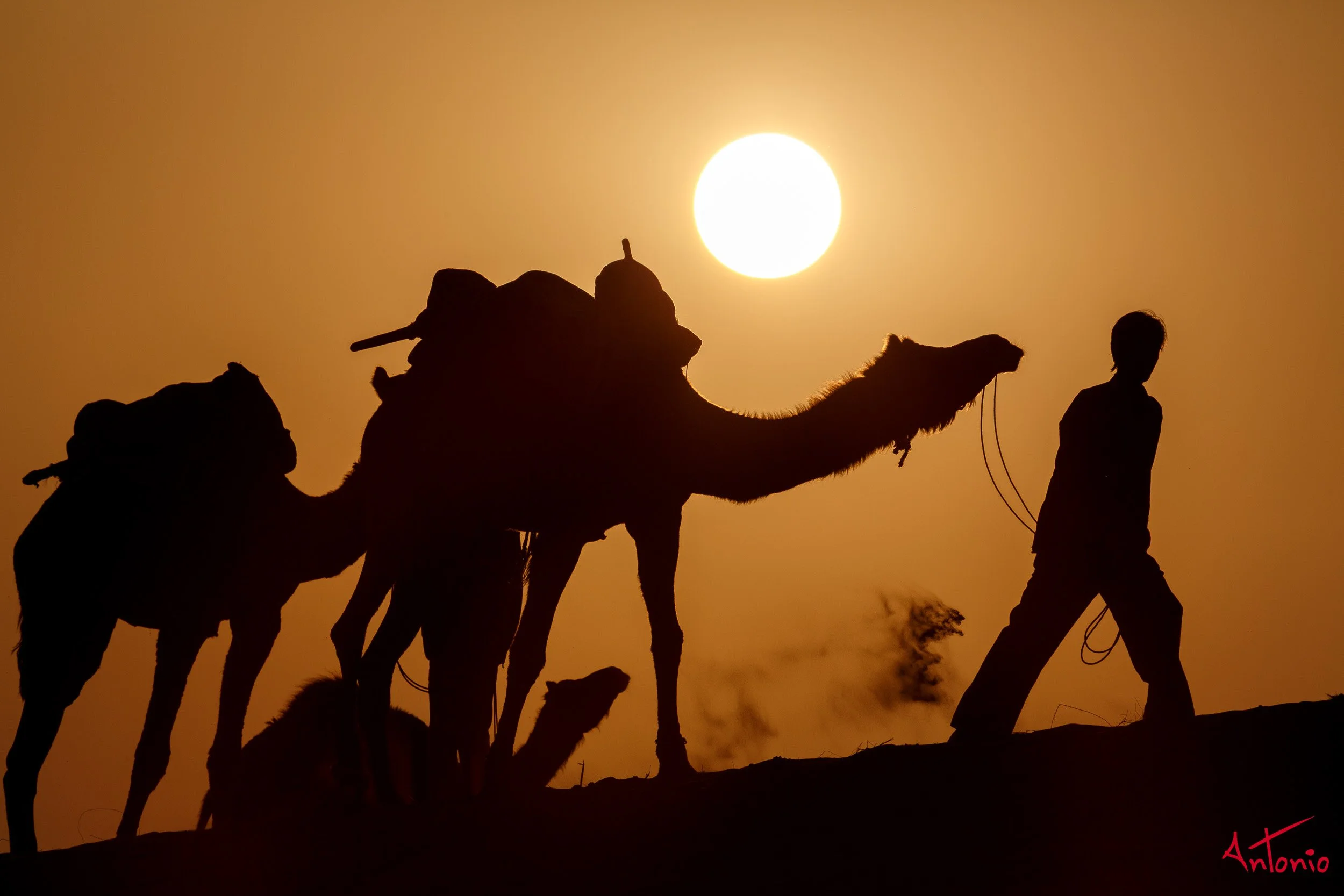 20121122_171236 India_Jamba.jpg