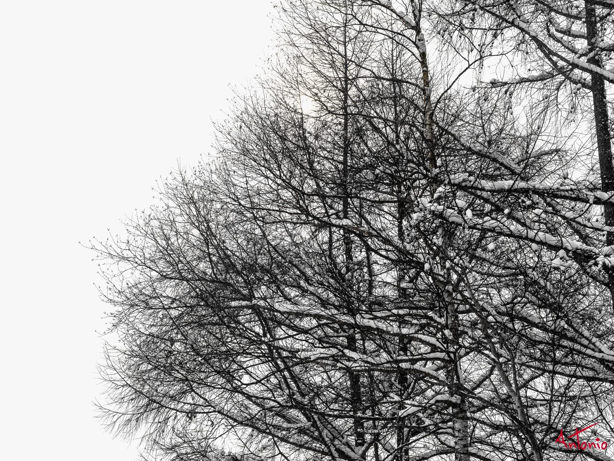 20240116_123827 B0004532 Hokaido.jpg