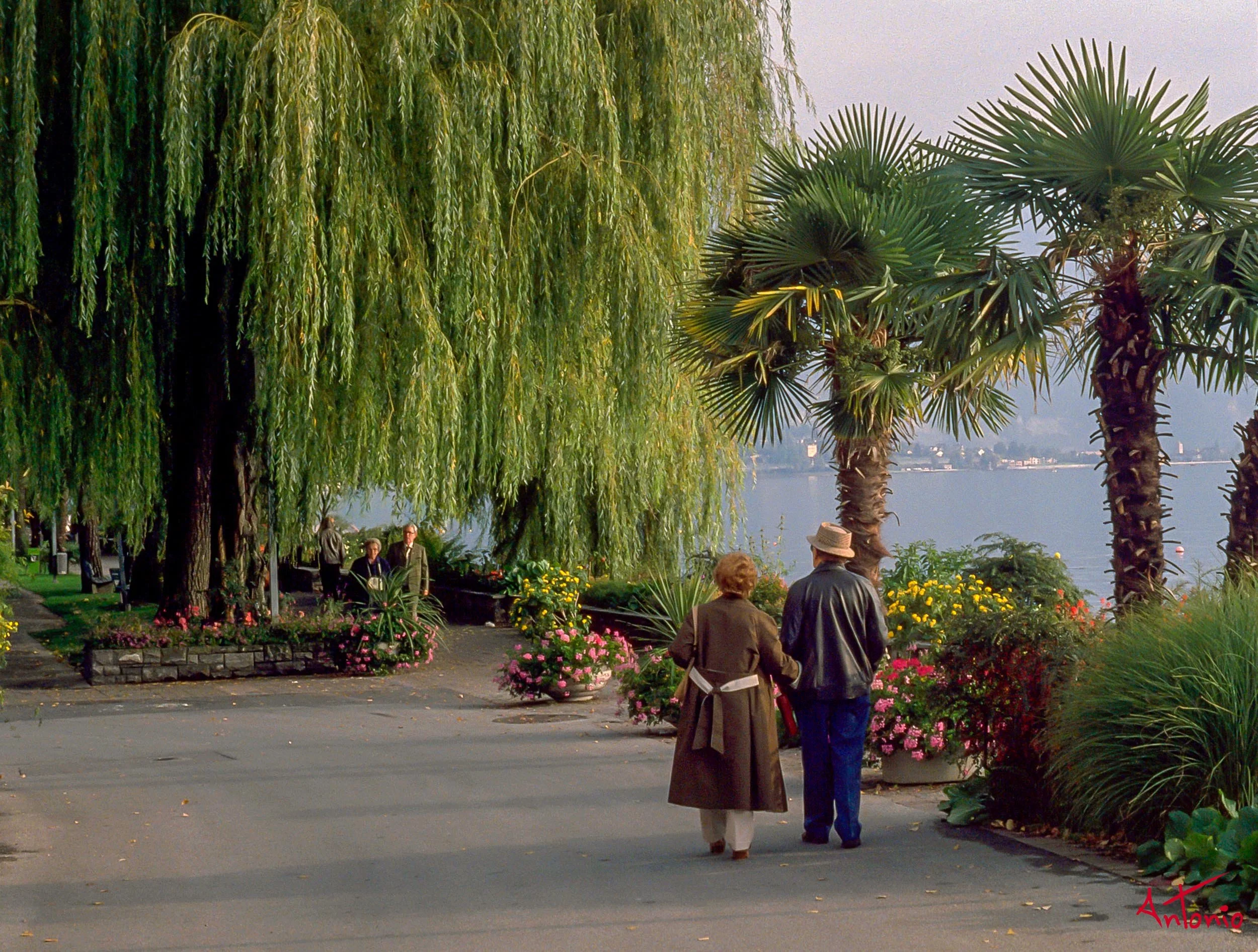 19880900_019 Montreux.jpg