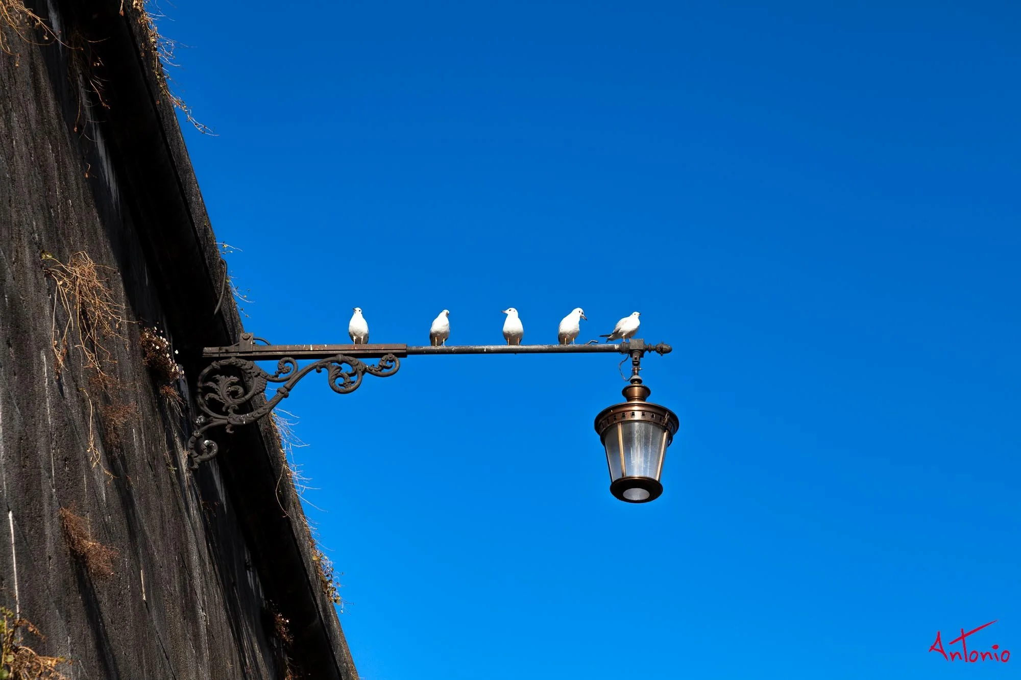 20120215_154048 Roma.jpg