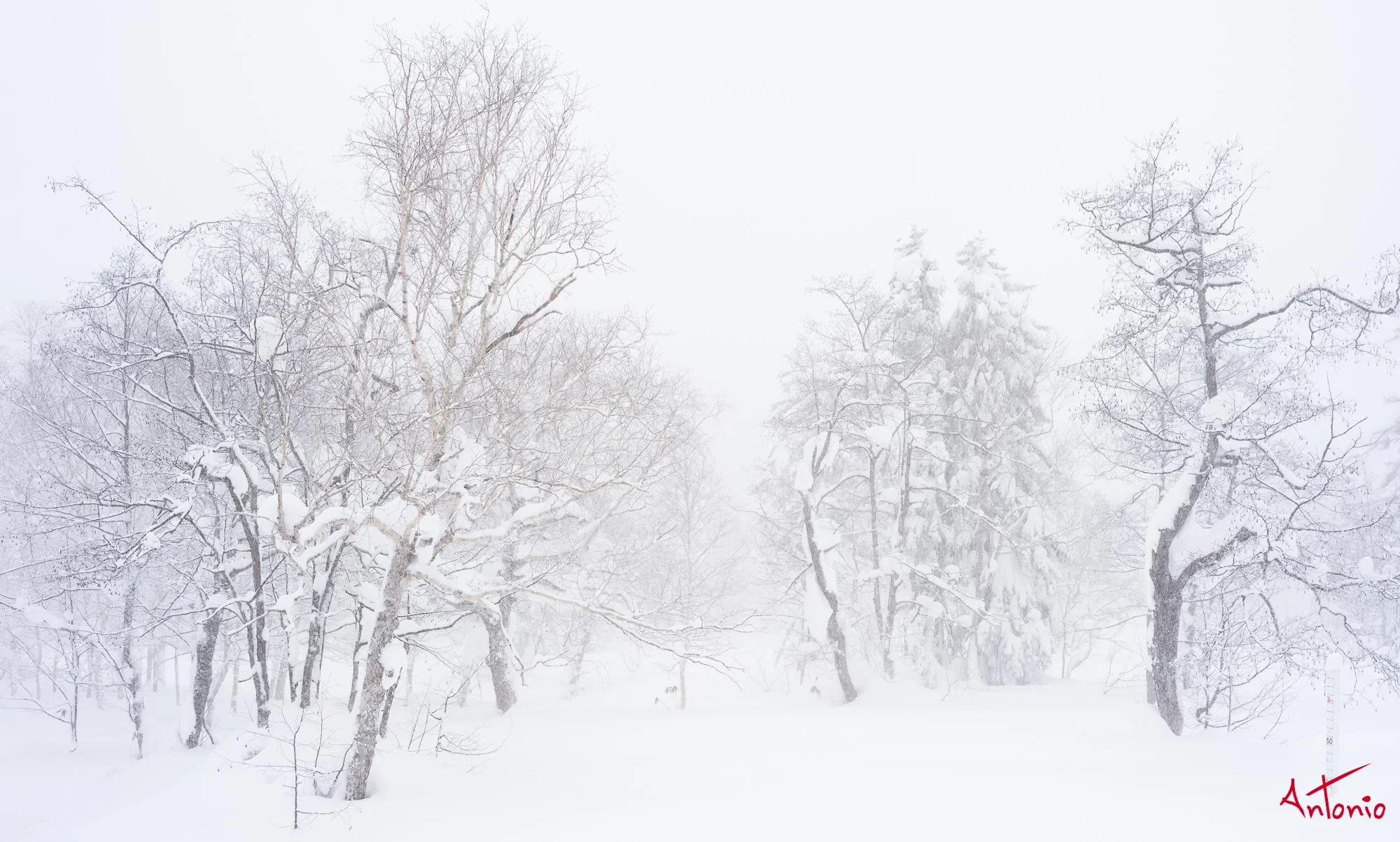 20240110_120211 B0003314 Hokaido.jpg