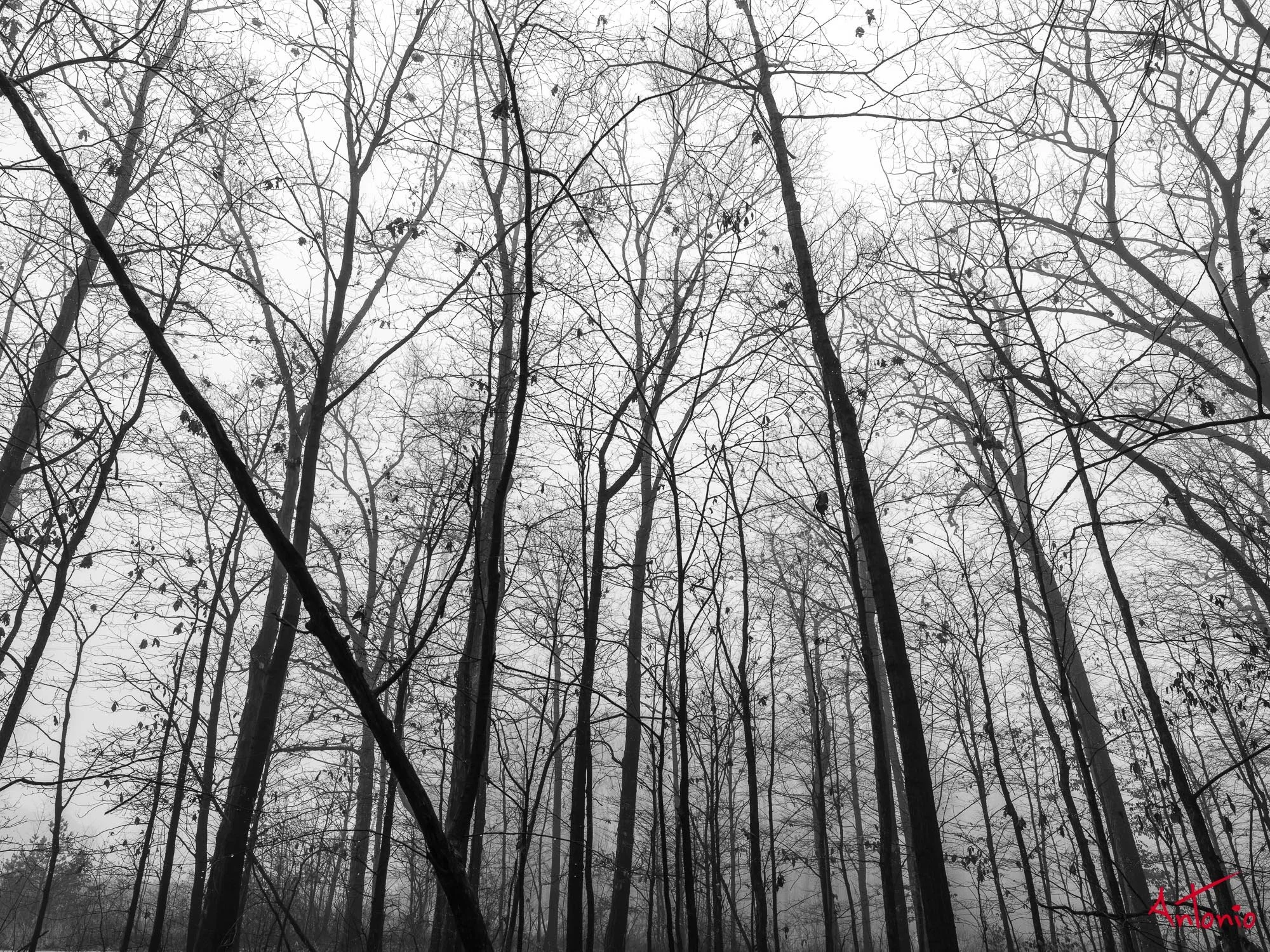 20231224_114022 B0001400 Michigan, USA.jpg