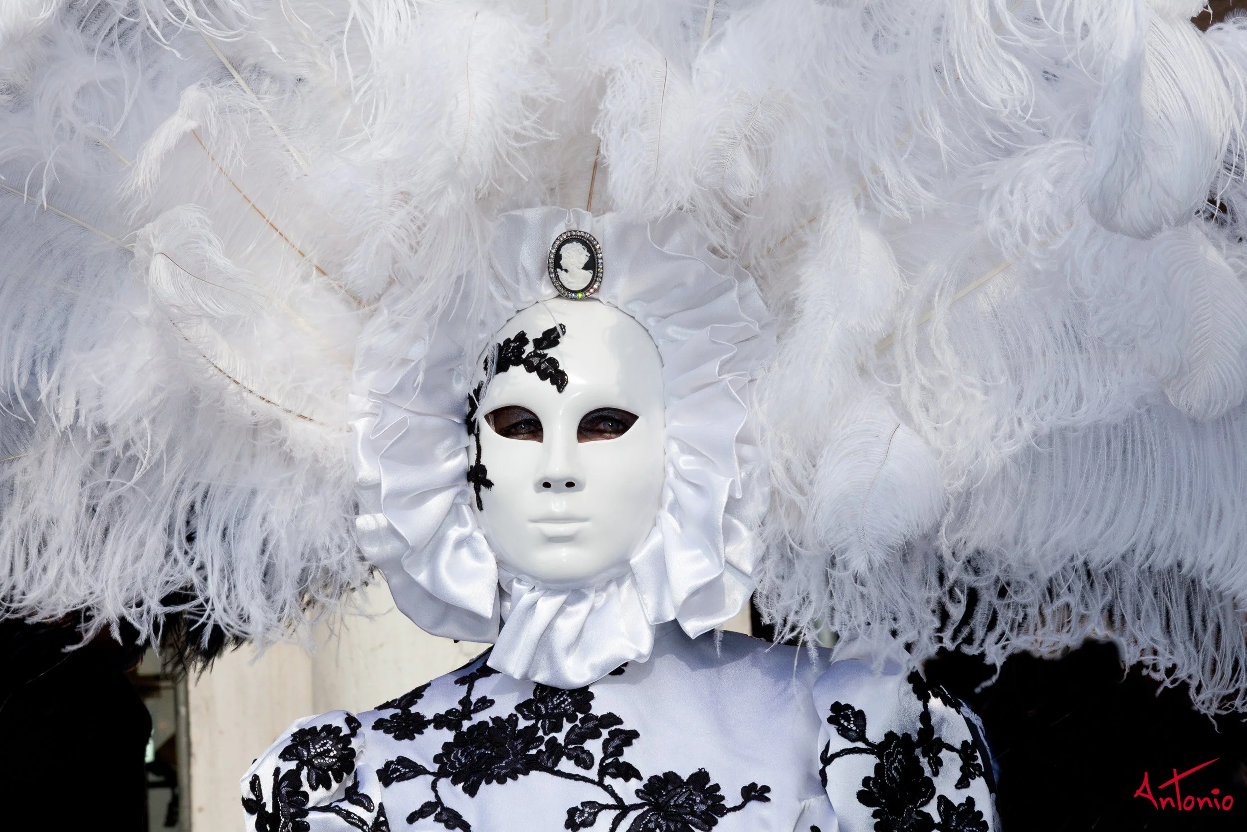 20120218_110005 Carnaval de venecia.jpg