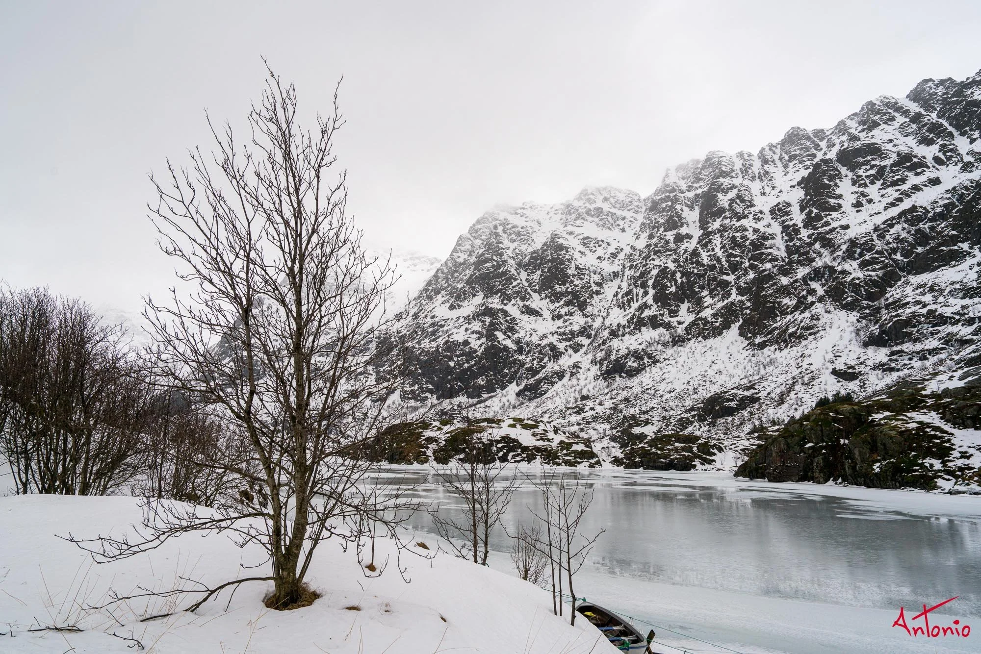 20160218_103750 Lofoten.jpg