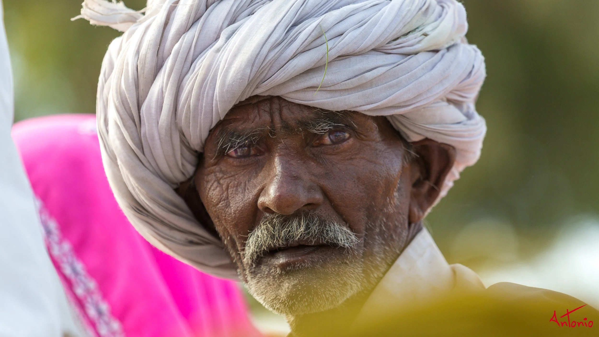 20121124_153548 Pushkar.jpg