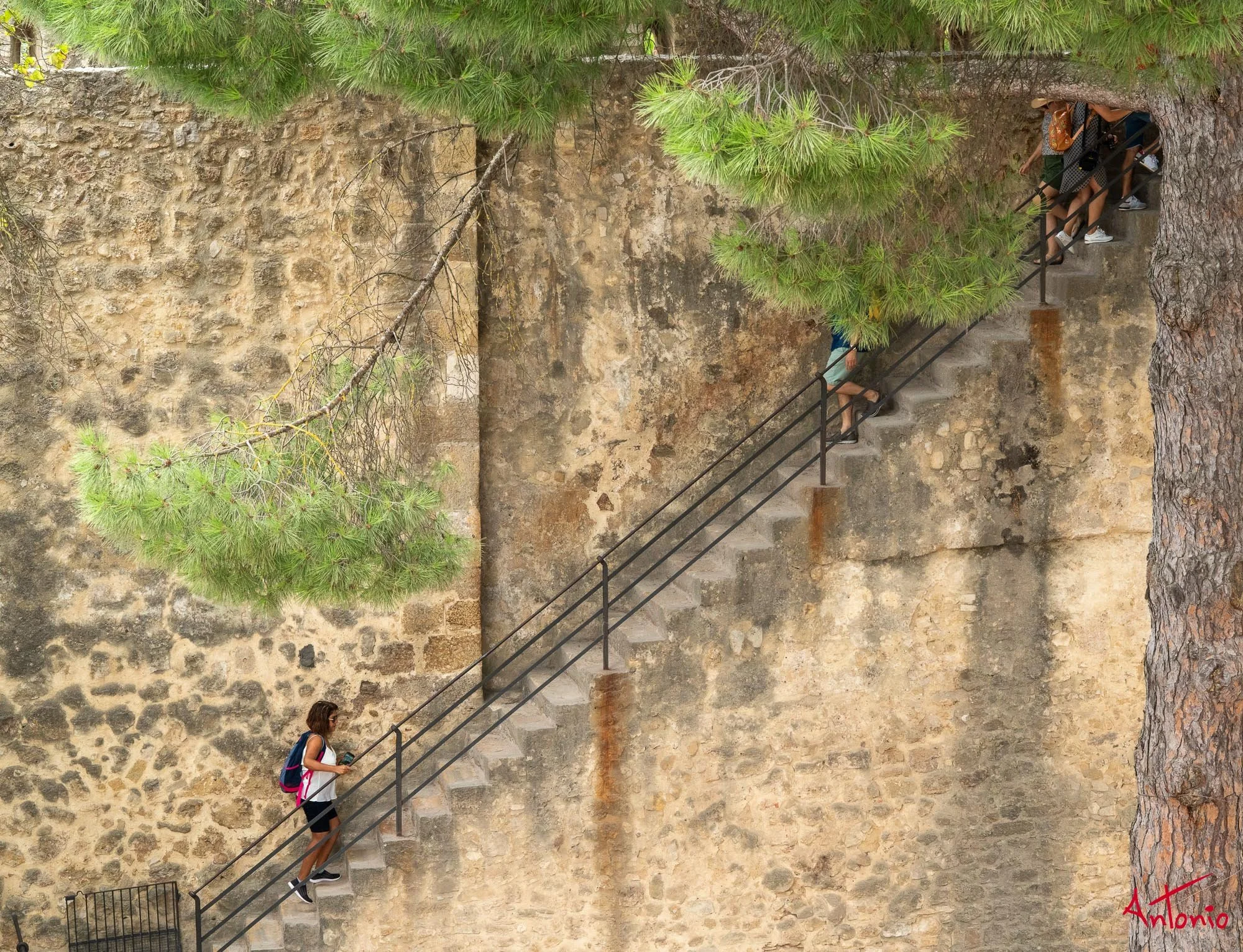 20190915_062822 Lisboa.jpg