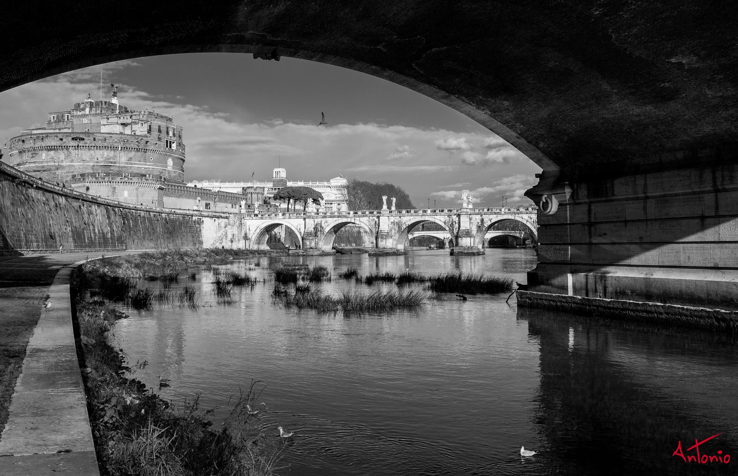 20120215_153841 Roma.jpg