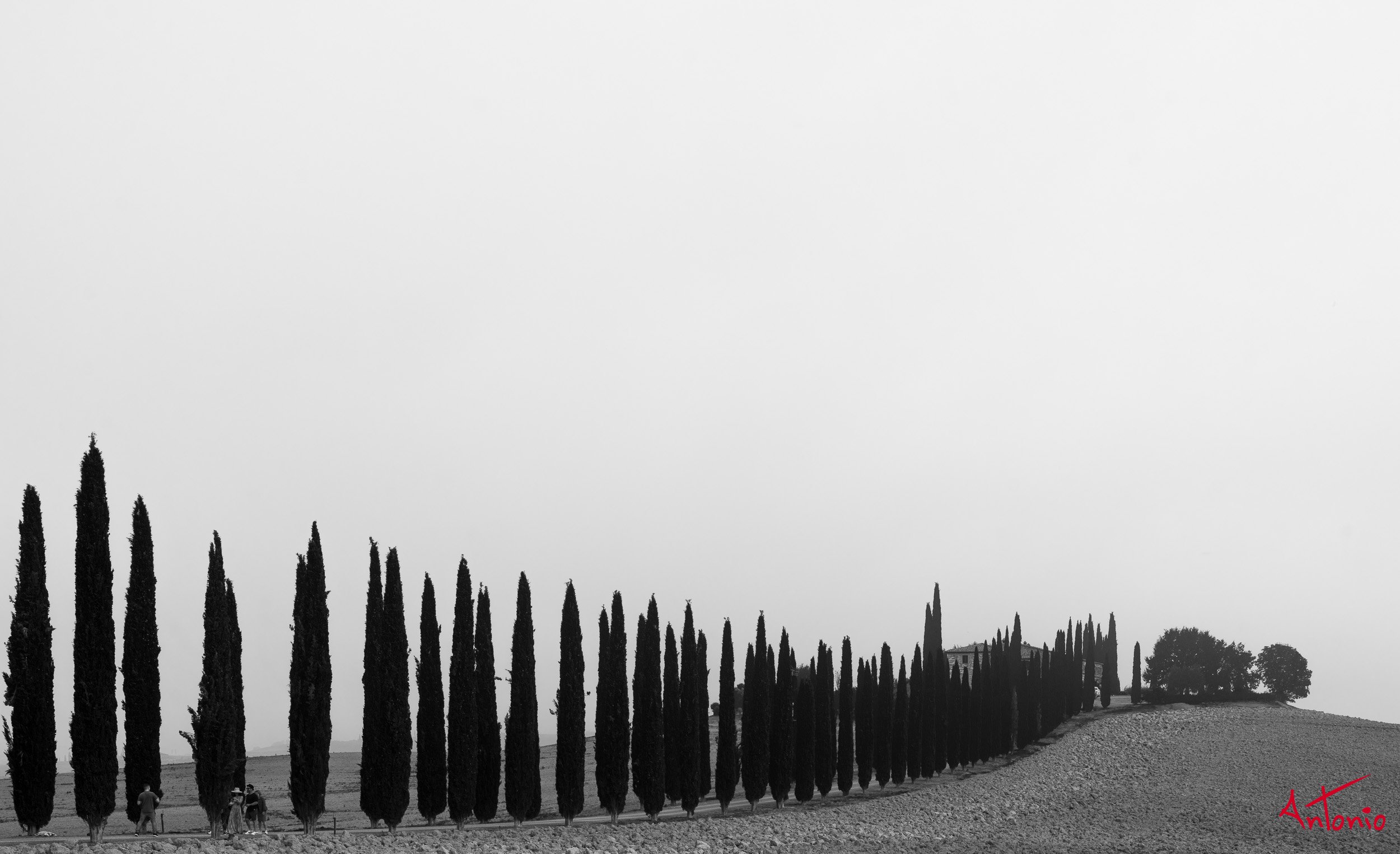 20231006_100544 B0000910 Toscana, Italia.jpg