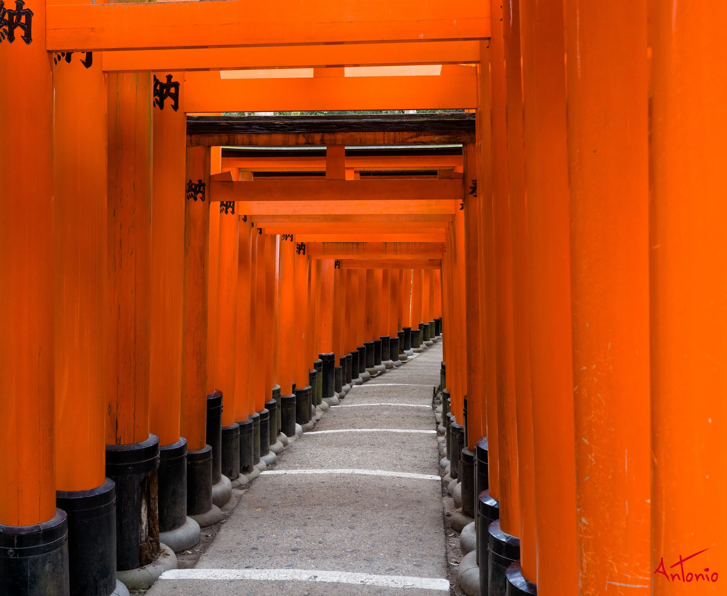 20240103_145006 B0001696 Kyoto, Japan.jpg