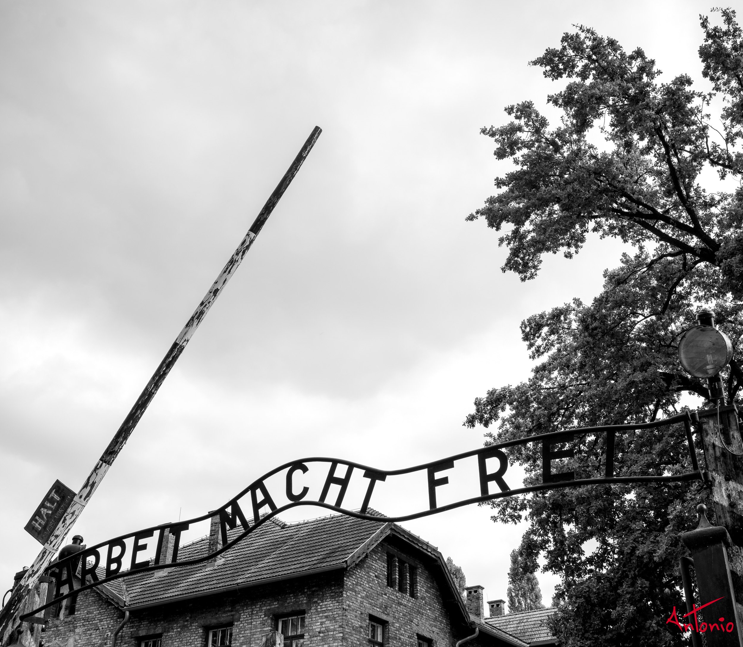 20240820_134850 B0006158 Auschwitz-Brinkenau, Polonia.jpg