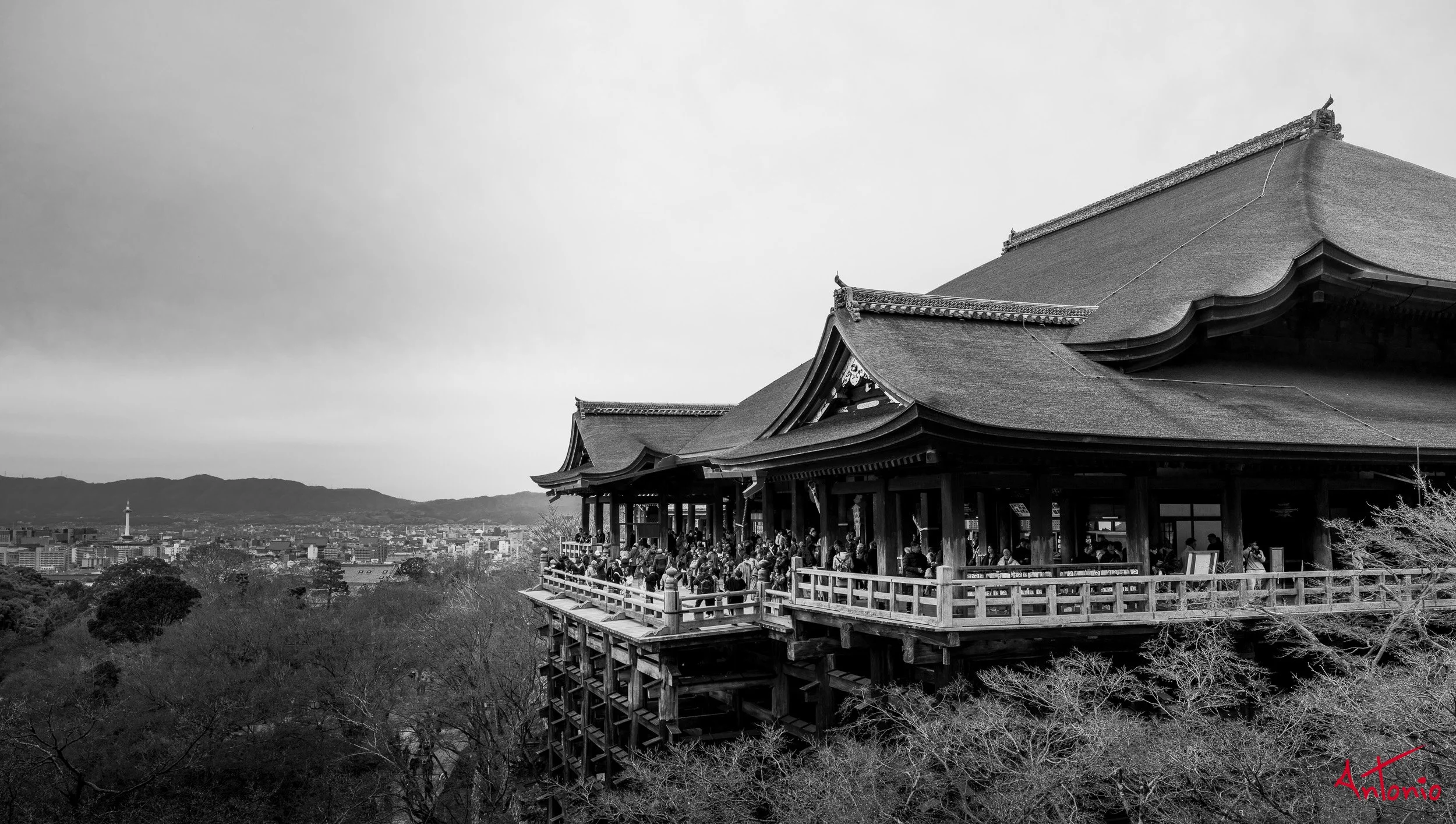 20240103_103530 B0001481 Kyoto, Japan.jpg