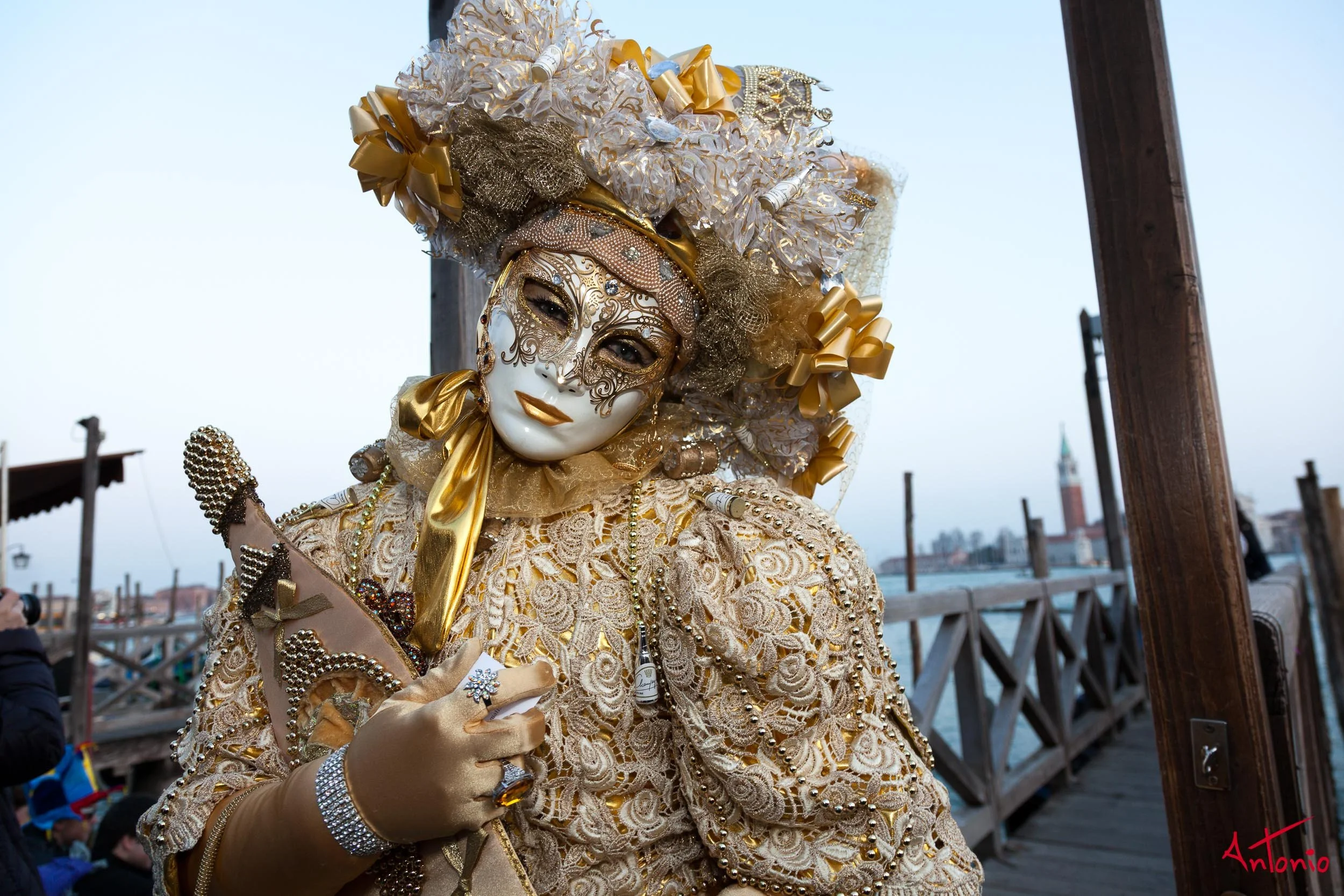 20120218_173156 Carnaval de venecia.jpg