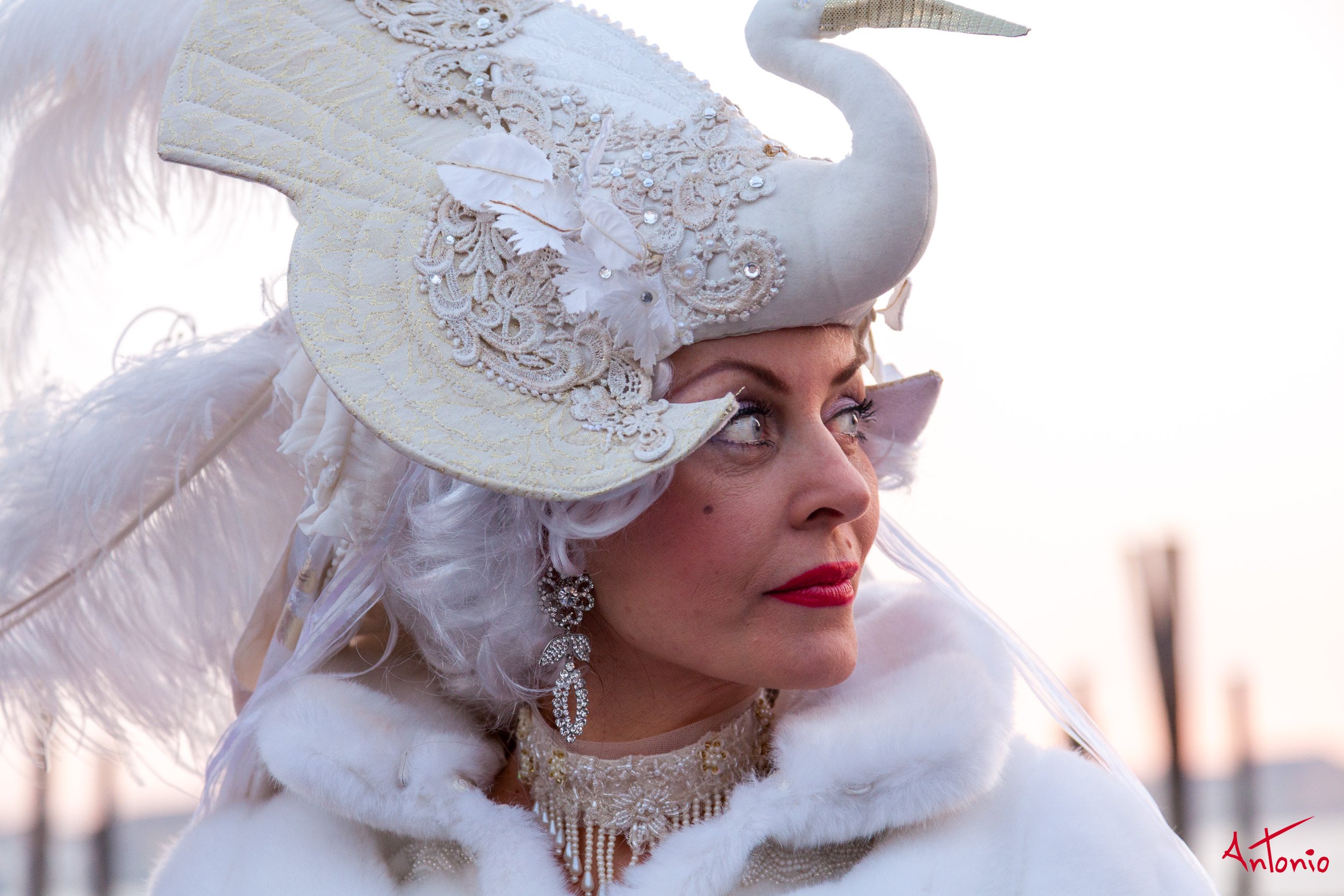 20120216_173108 Carnaval de venecia.jpg