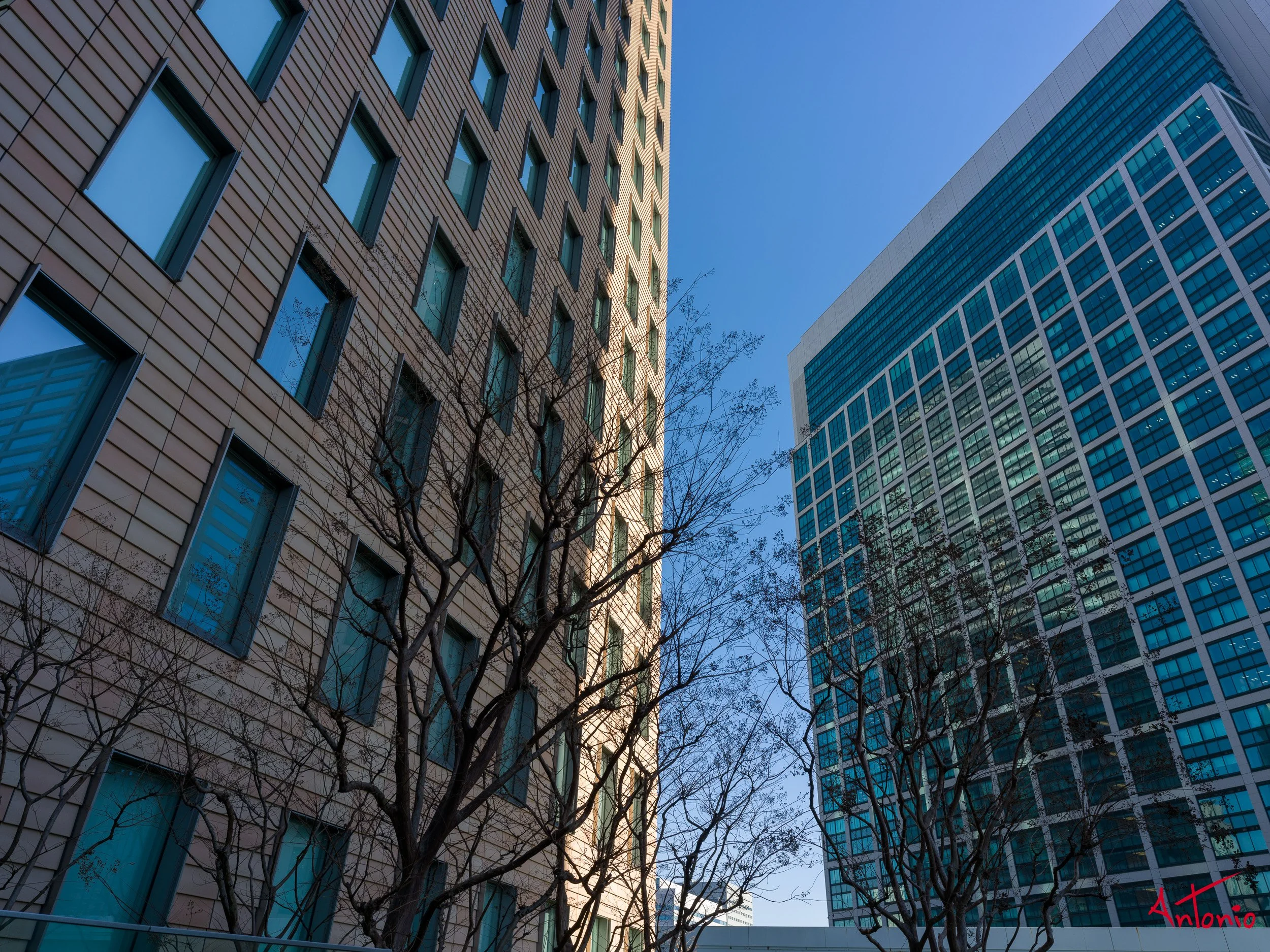 20240123_144848 B0002208 Tokyo.jpg