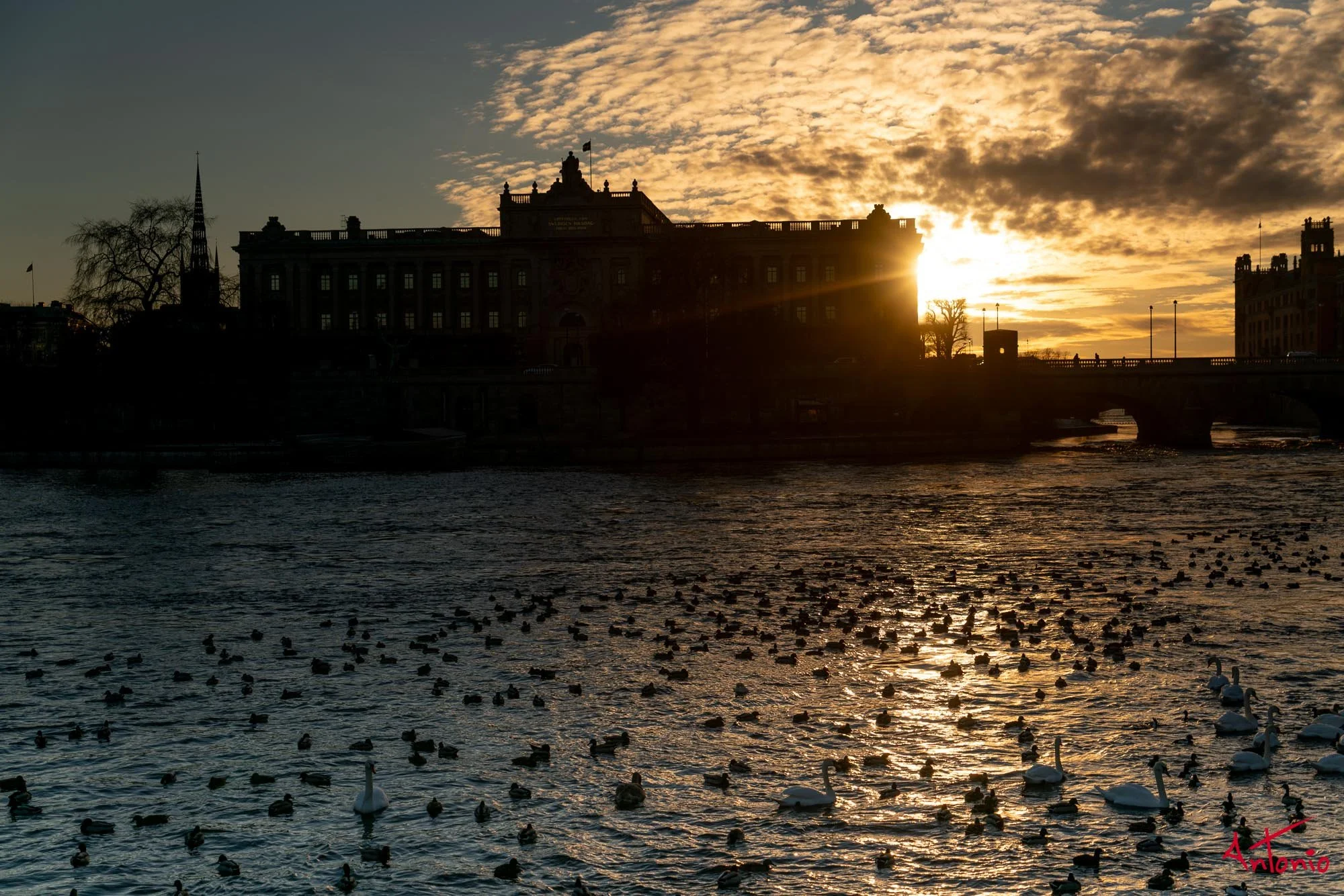 20160224_152138 Estocolmo.jpg