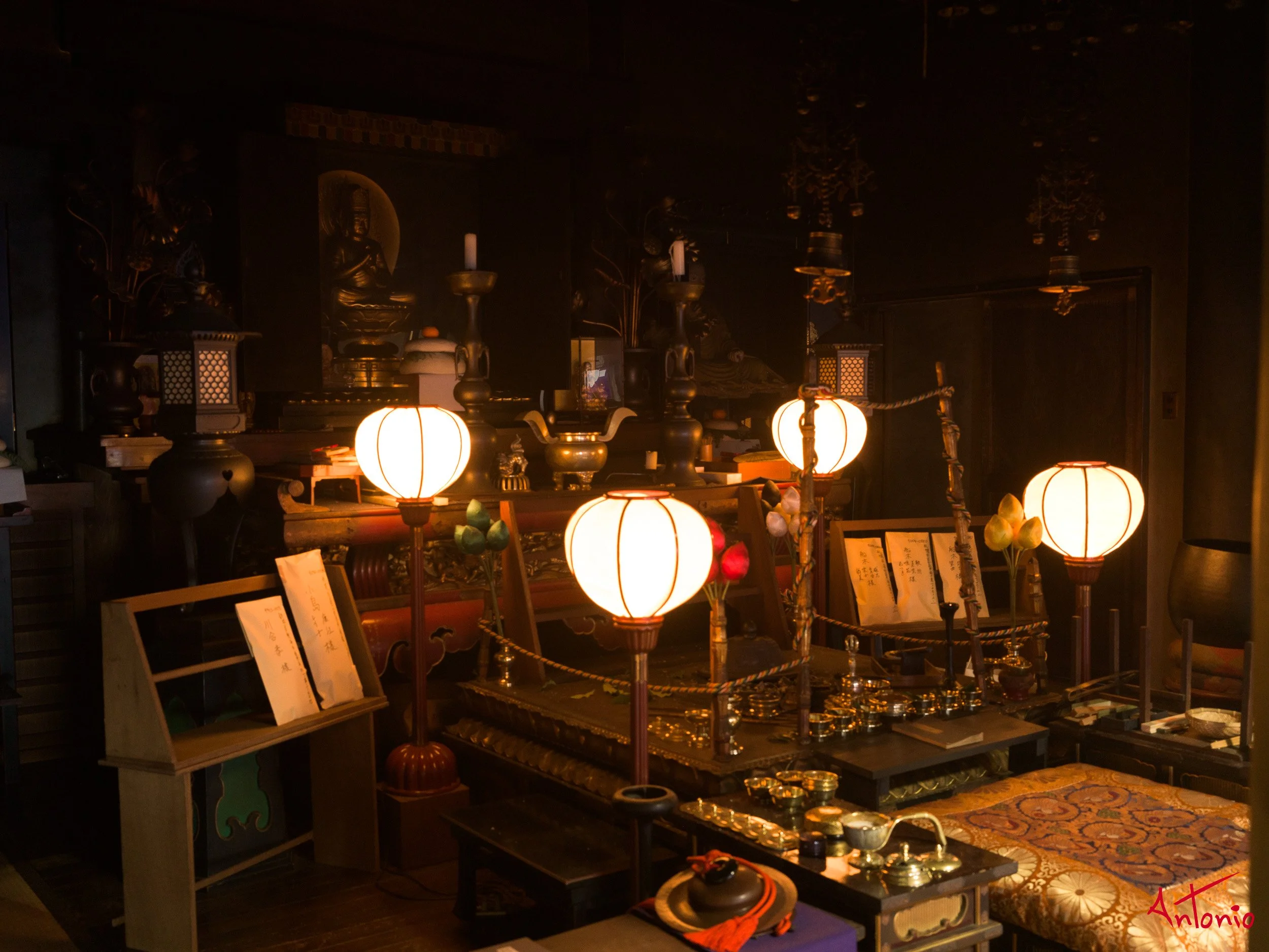 20240123_165020 B0002669 Tokyo.jpg