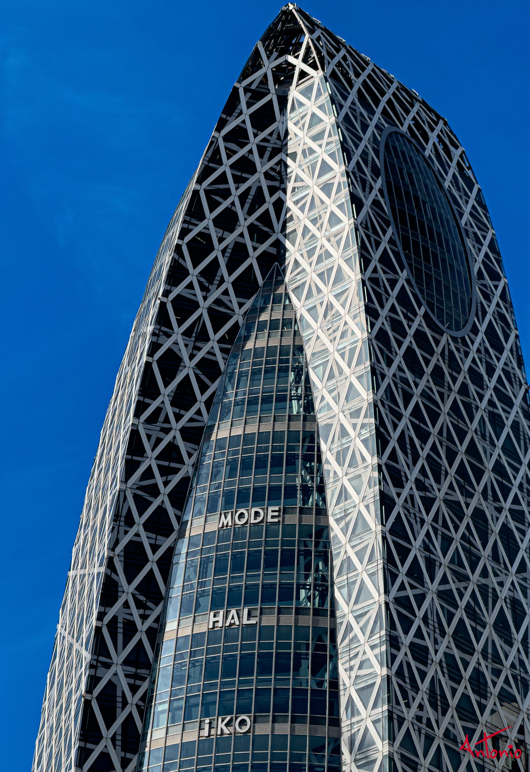 20260210_102426 Tokio, Japón.jpg