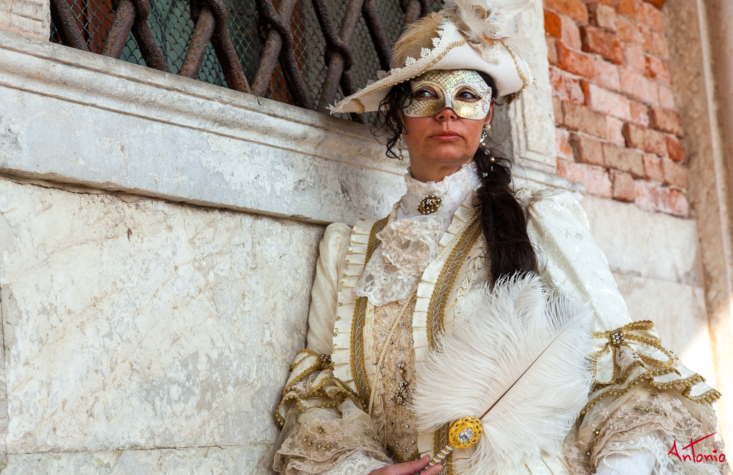 20120218_124034 Carnaval de venecia.jpg