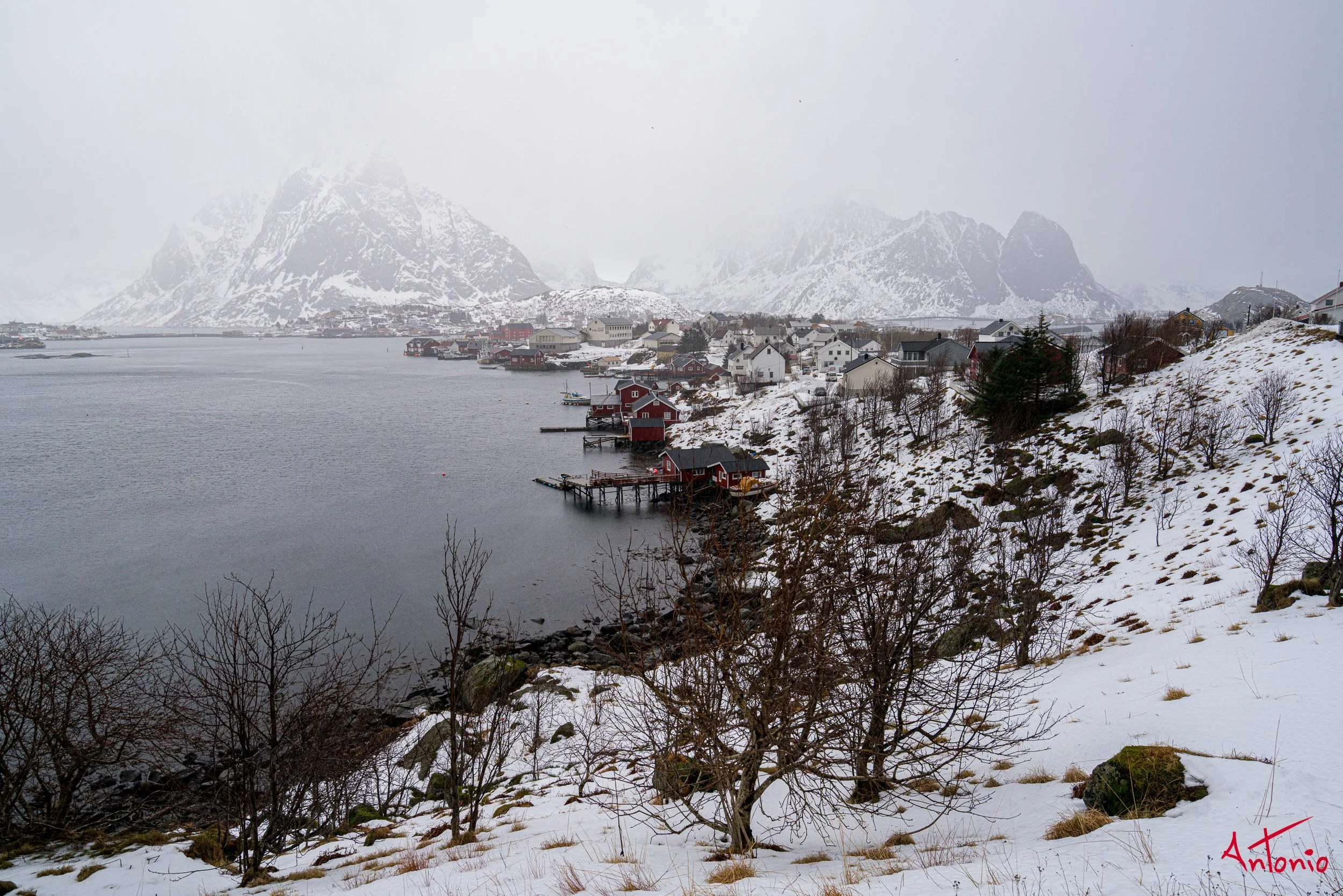 20160218_100455 Lofoten.jpg