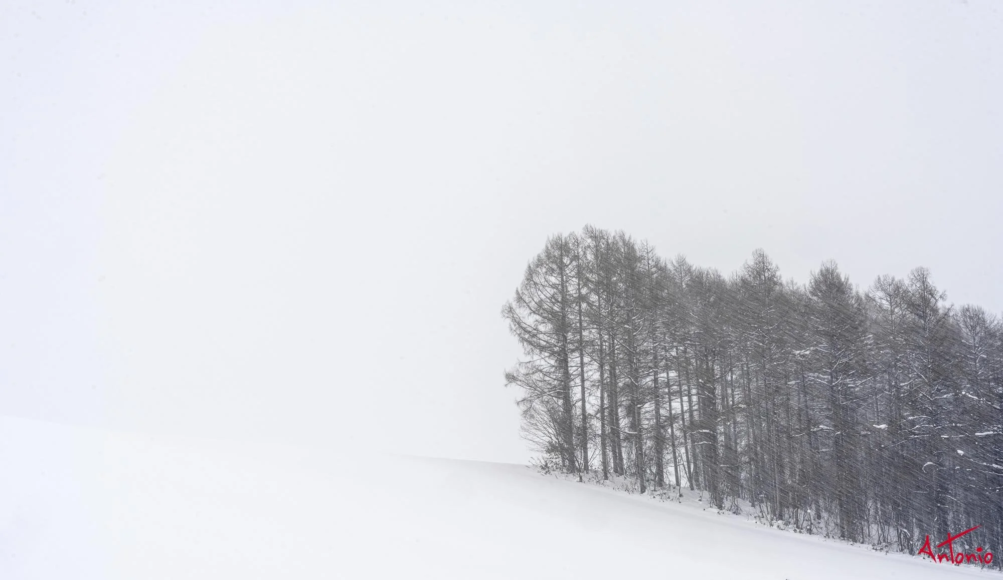 20240110_101626 B0003284 Hokaido.jpg