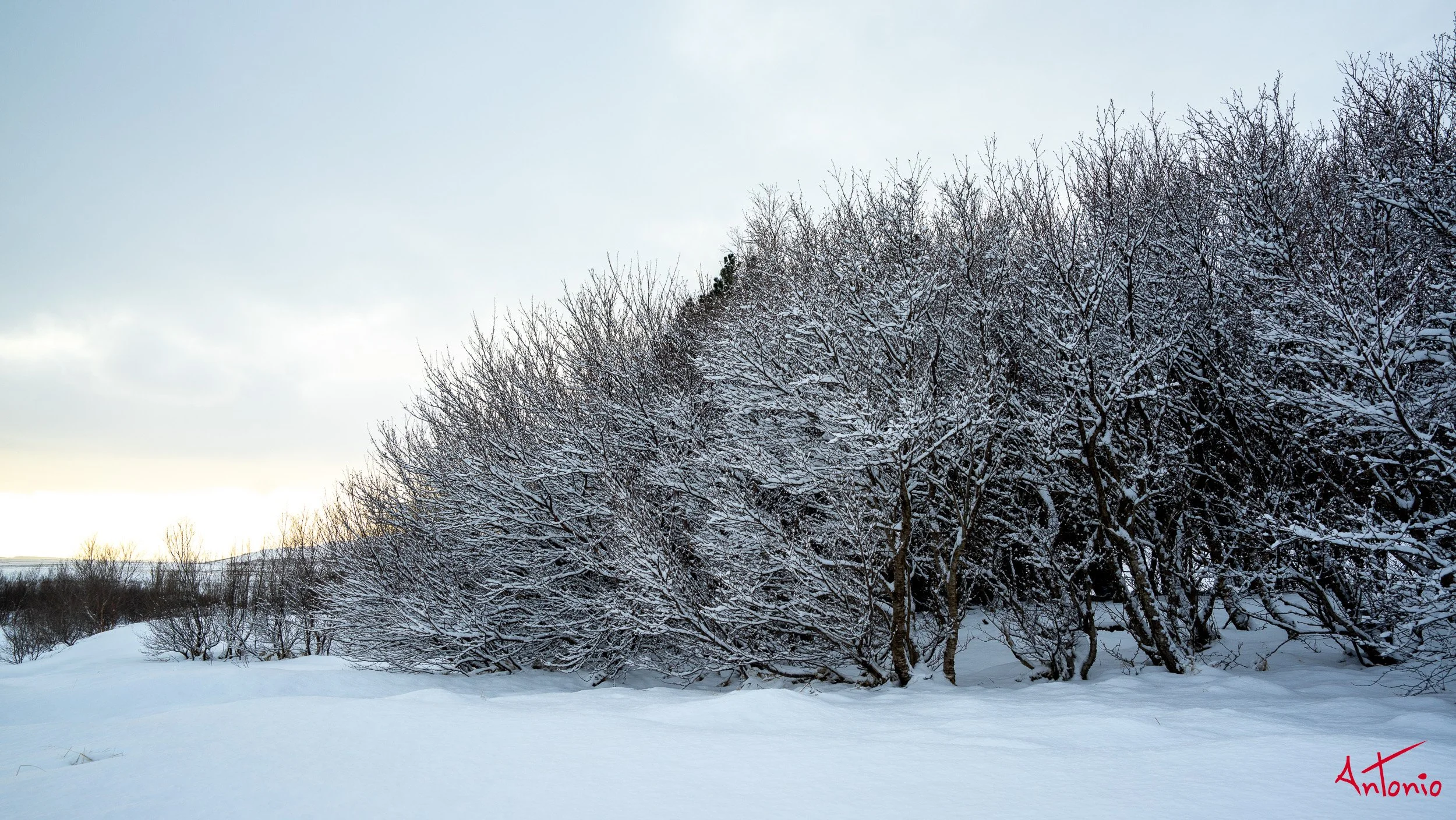 20150123_143151 Islandia.jpg