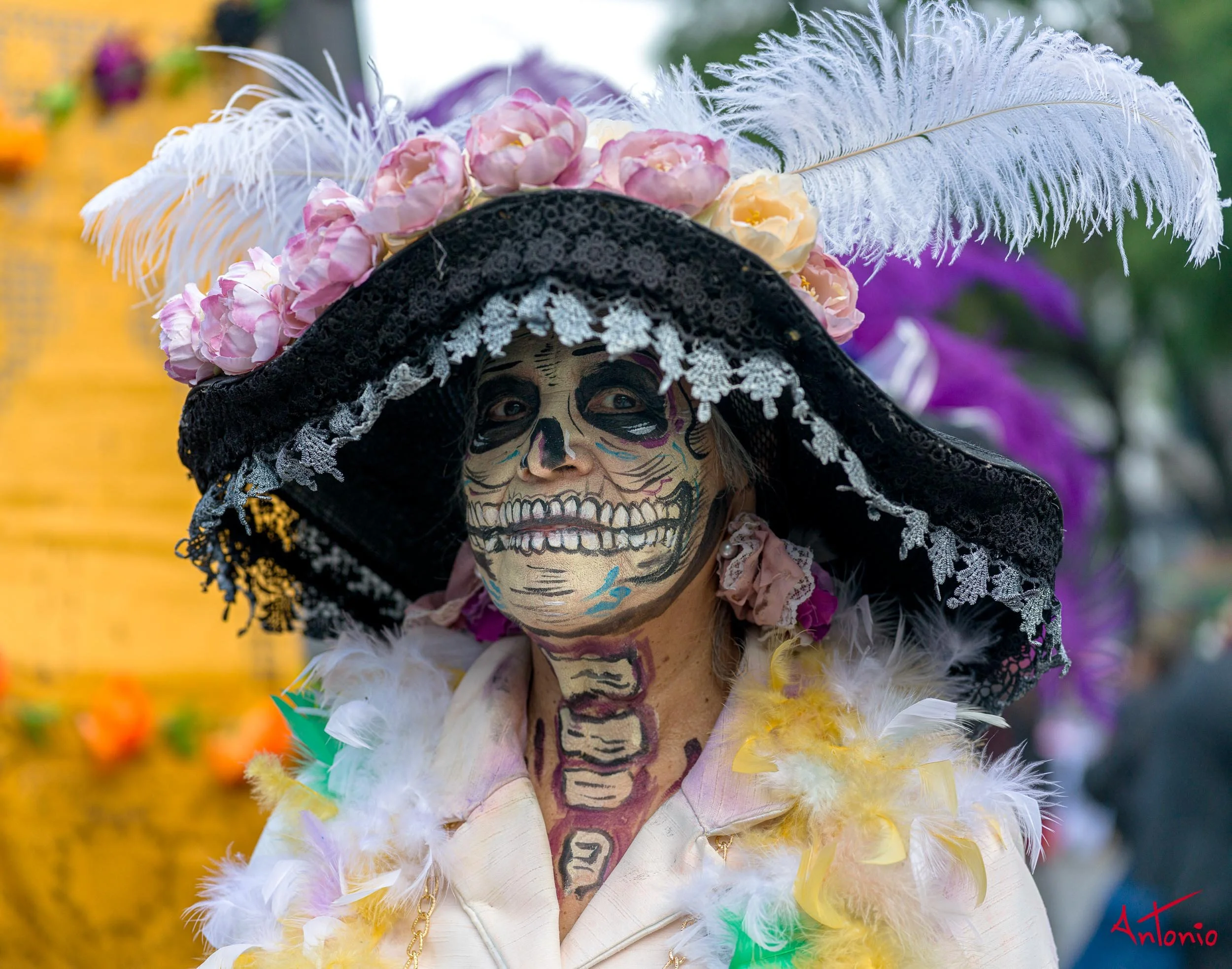 20241027_162458 B0006798 Catrinas.jpg