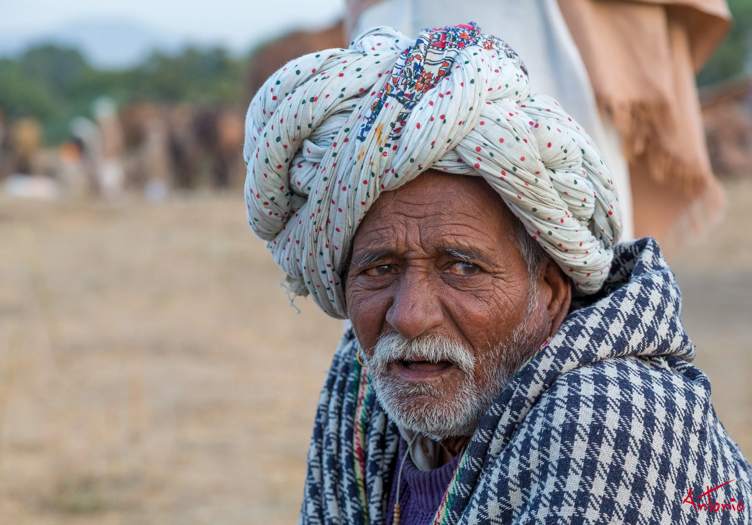 20121124_072941 Pushkar.jpg