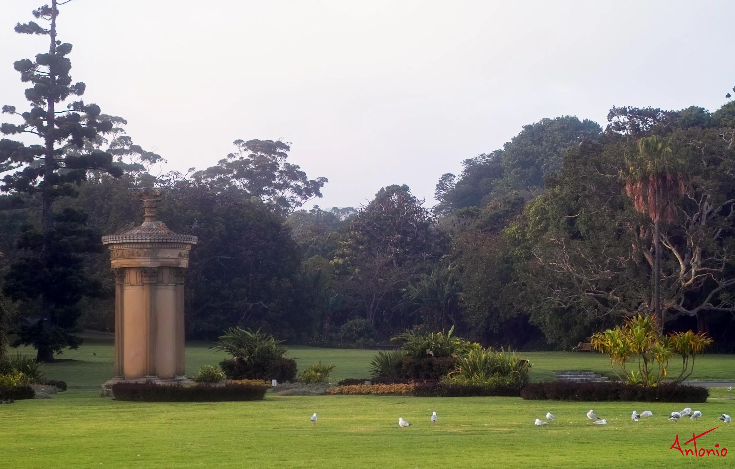 20031120_064054 Sydney.jpg