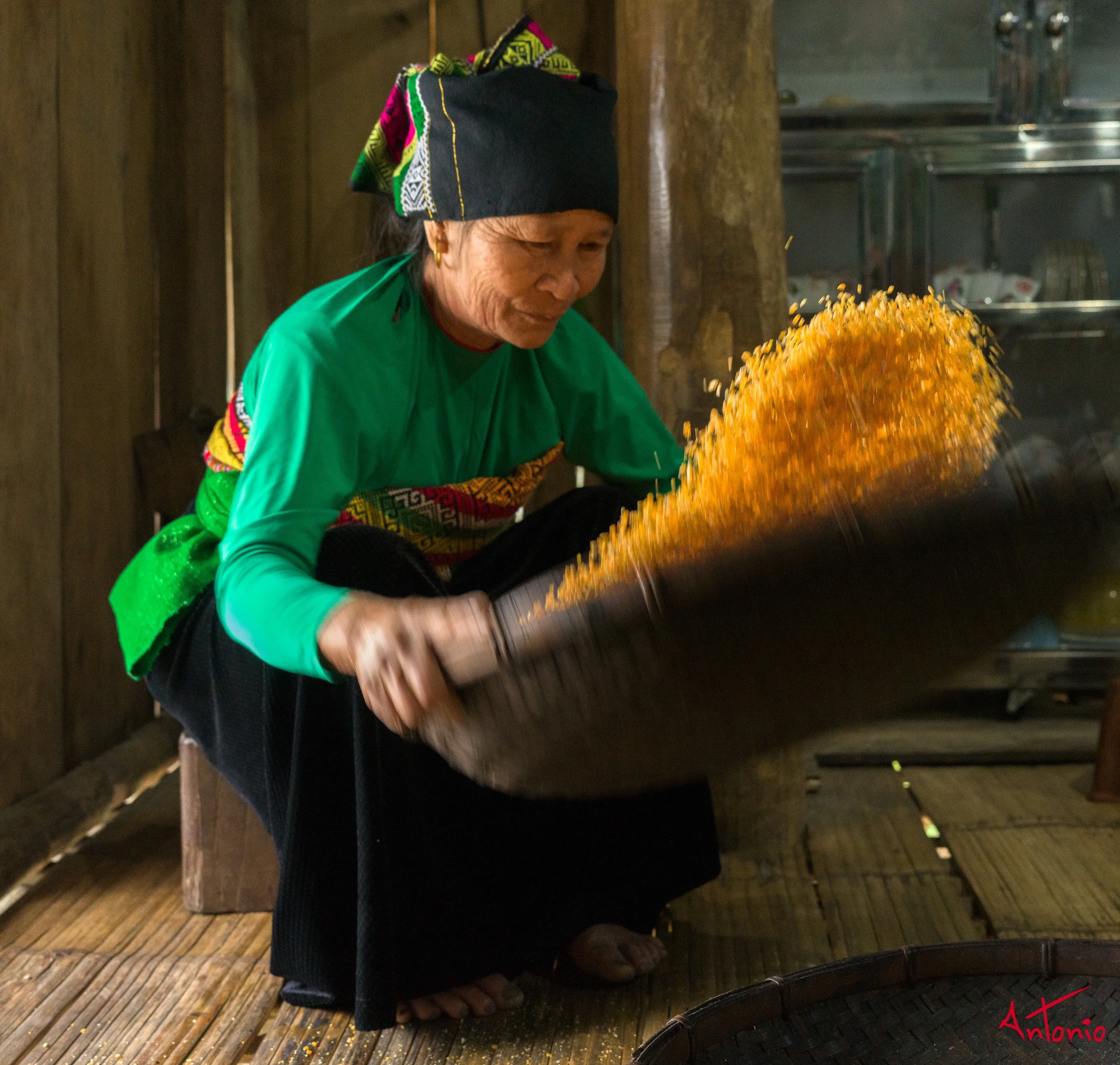 20260203_163252 B0013676 Pu Luong, Vietnam.jpg