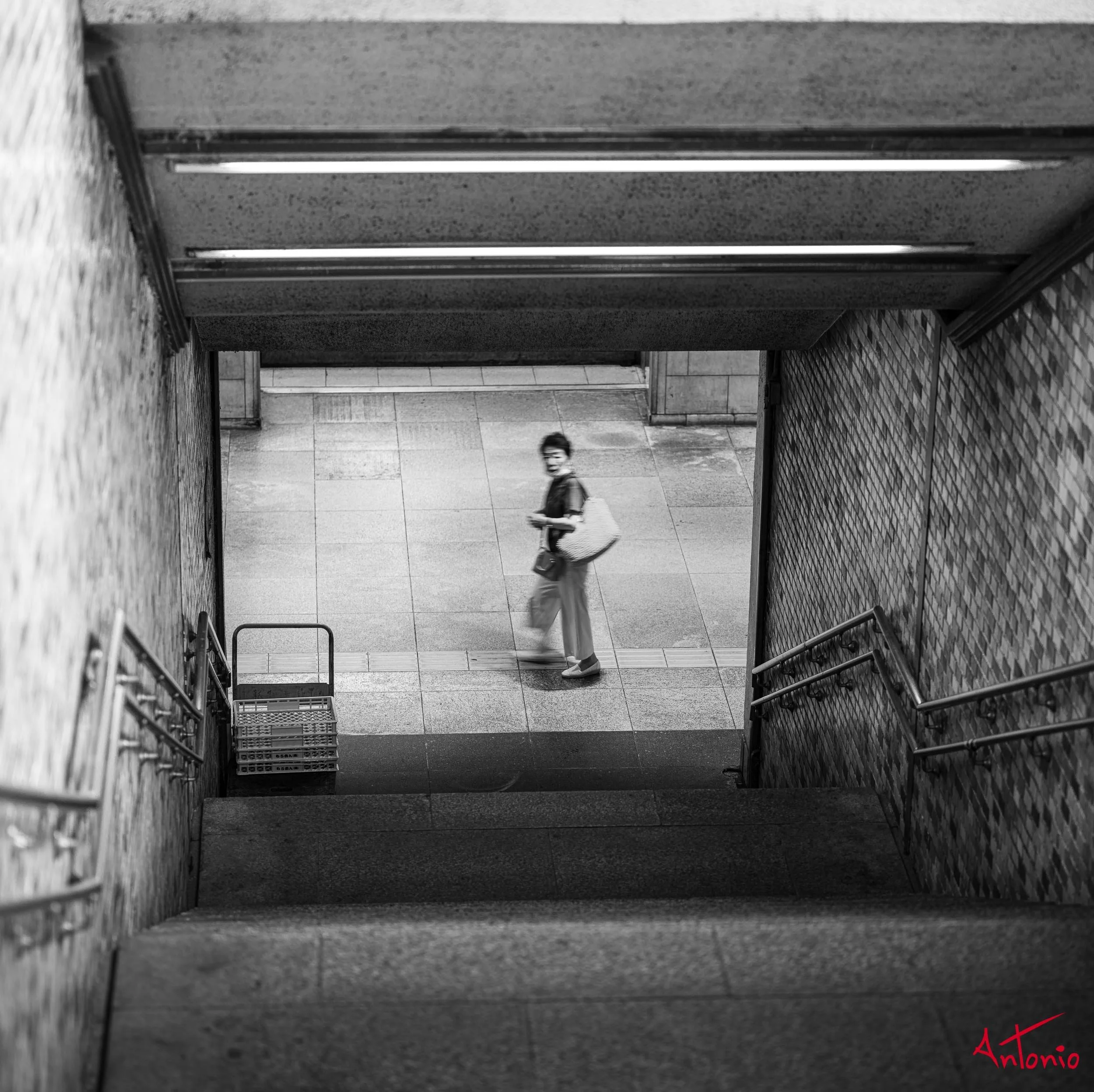 20250712_123333 Tokyo, Japan - B0007523.jpg