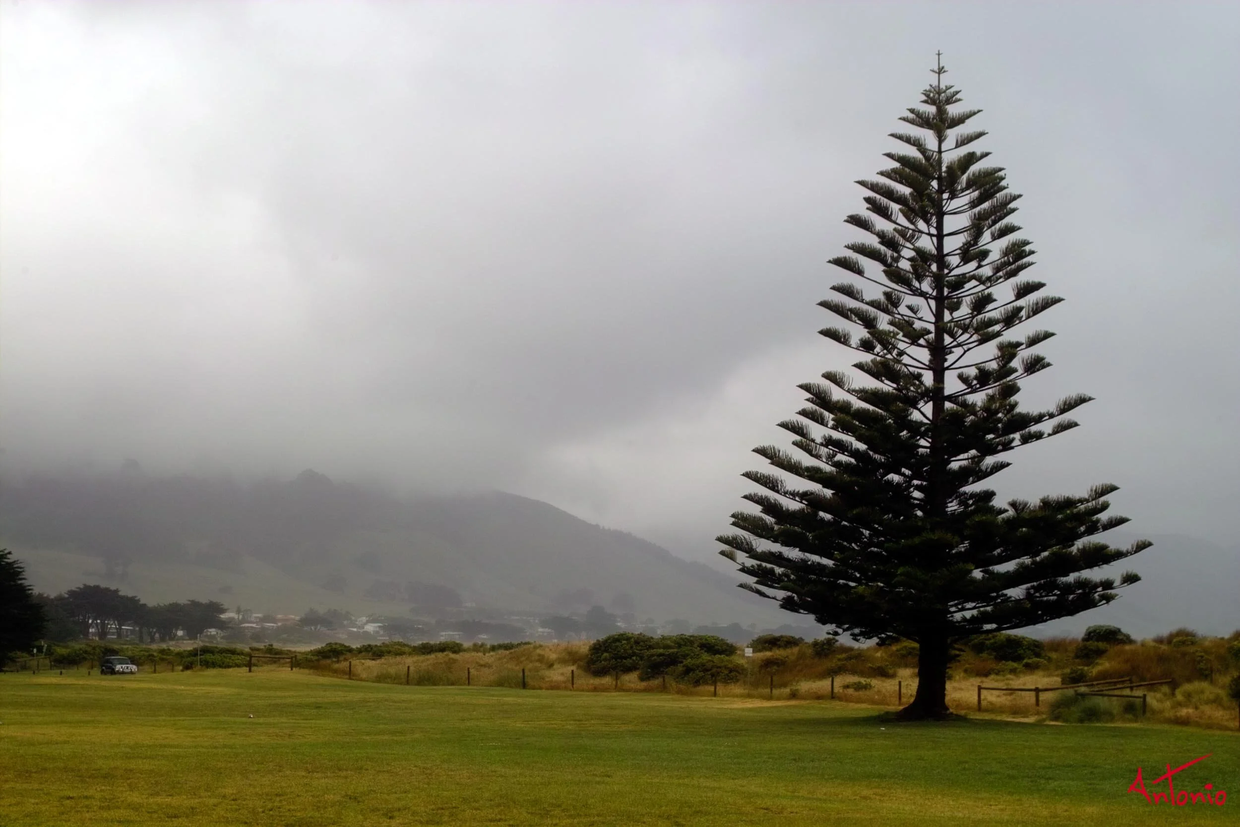 20031122_120257 Melbourne.jpg