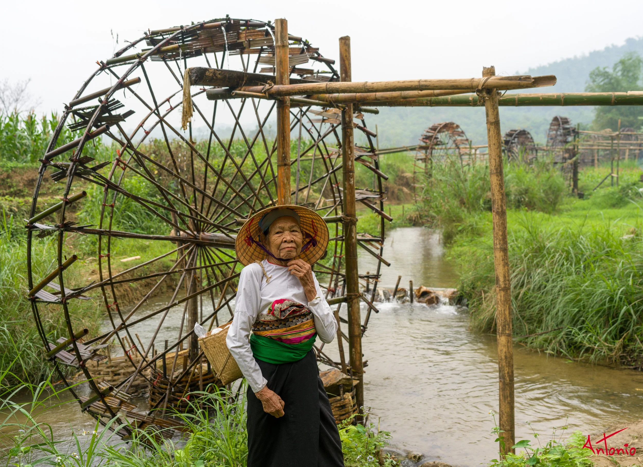 20260204_090432 B0013789 Ban Cong, Vietnam.jpg
