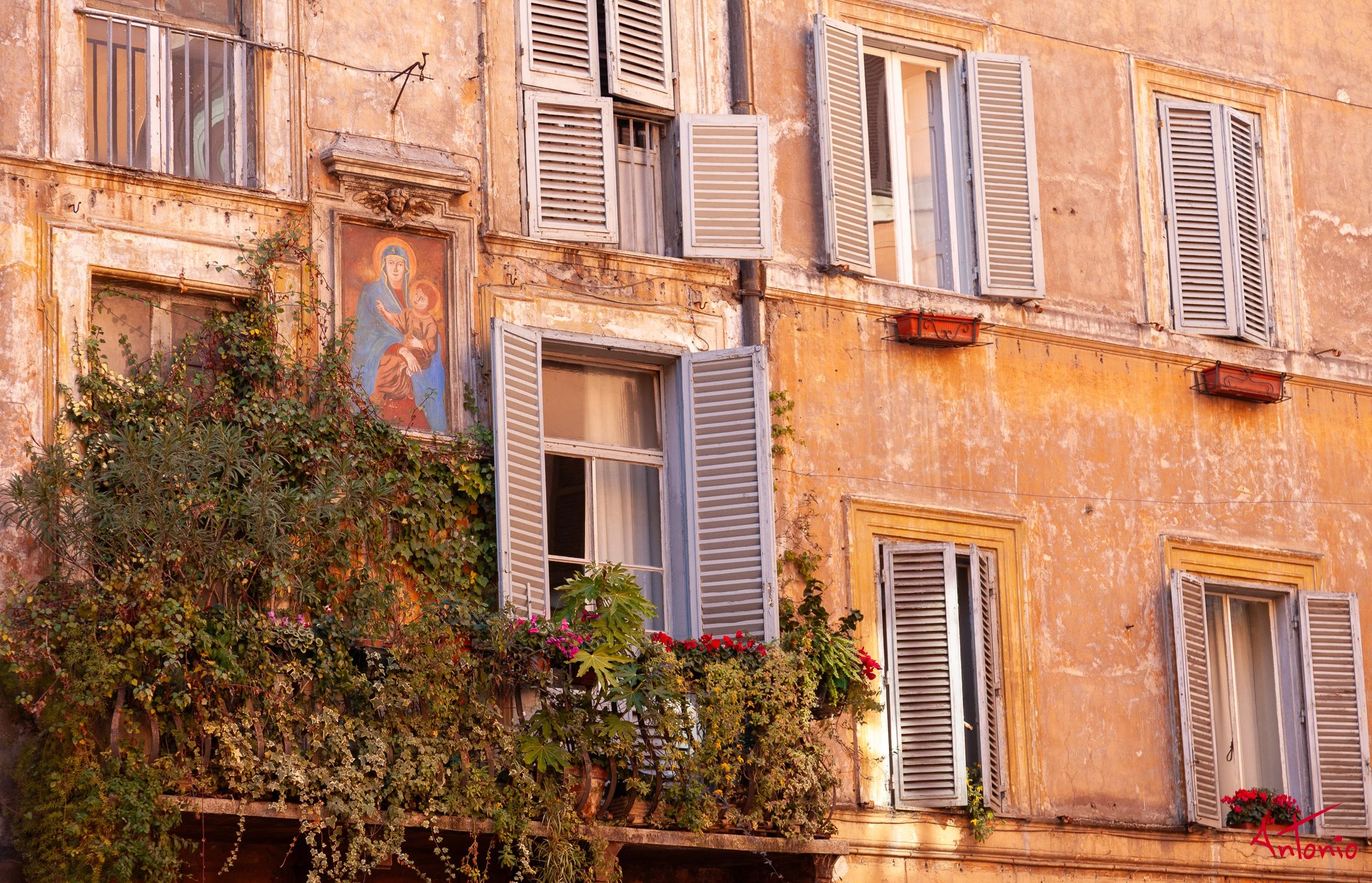 20120213_125857 Roma.jpg