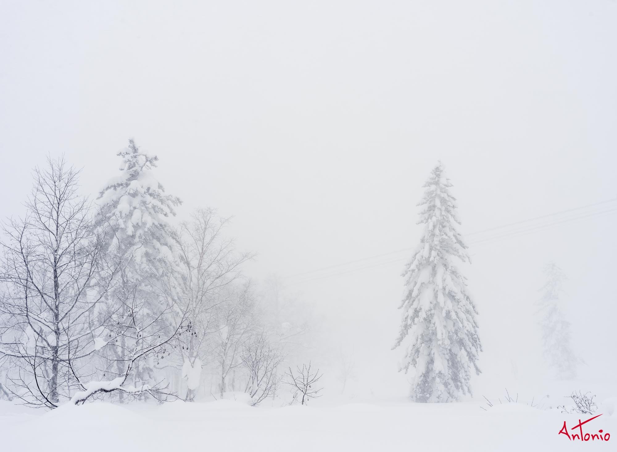 20240110_121737 B0003341 Hokaido.jpg