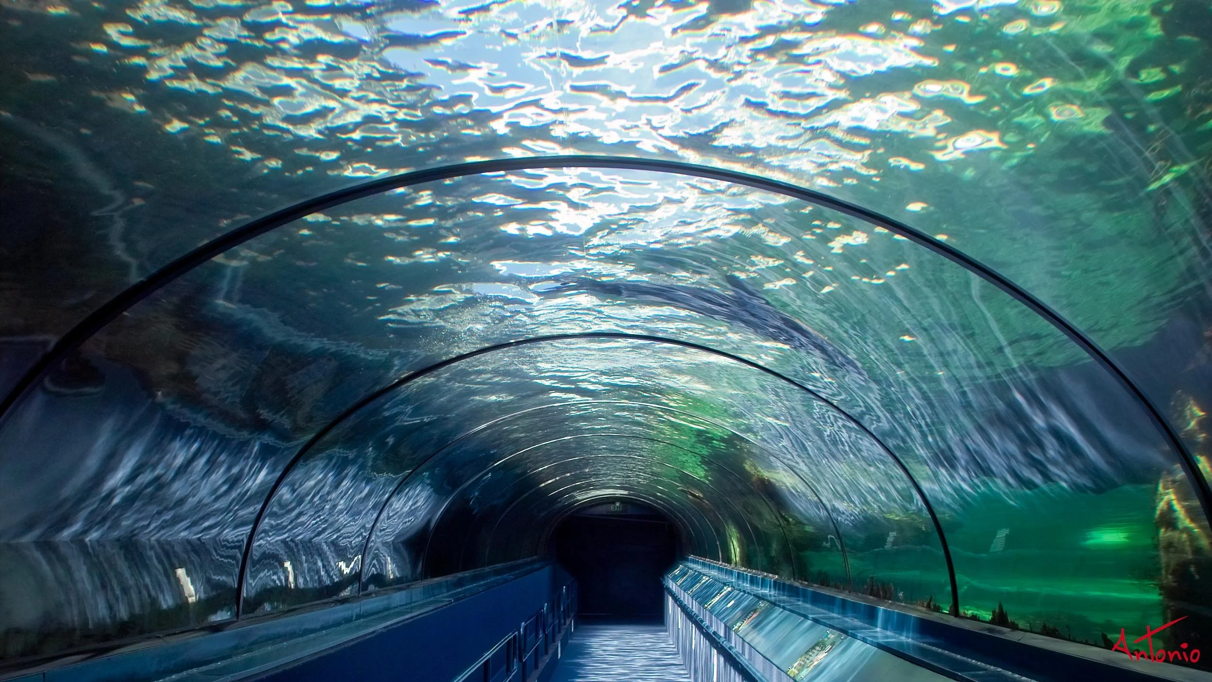 20031120_104451 Sydney.jpg