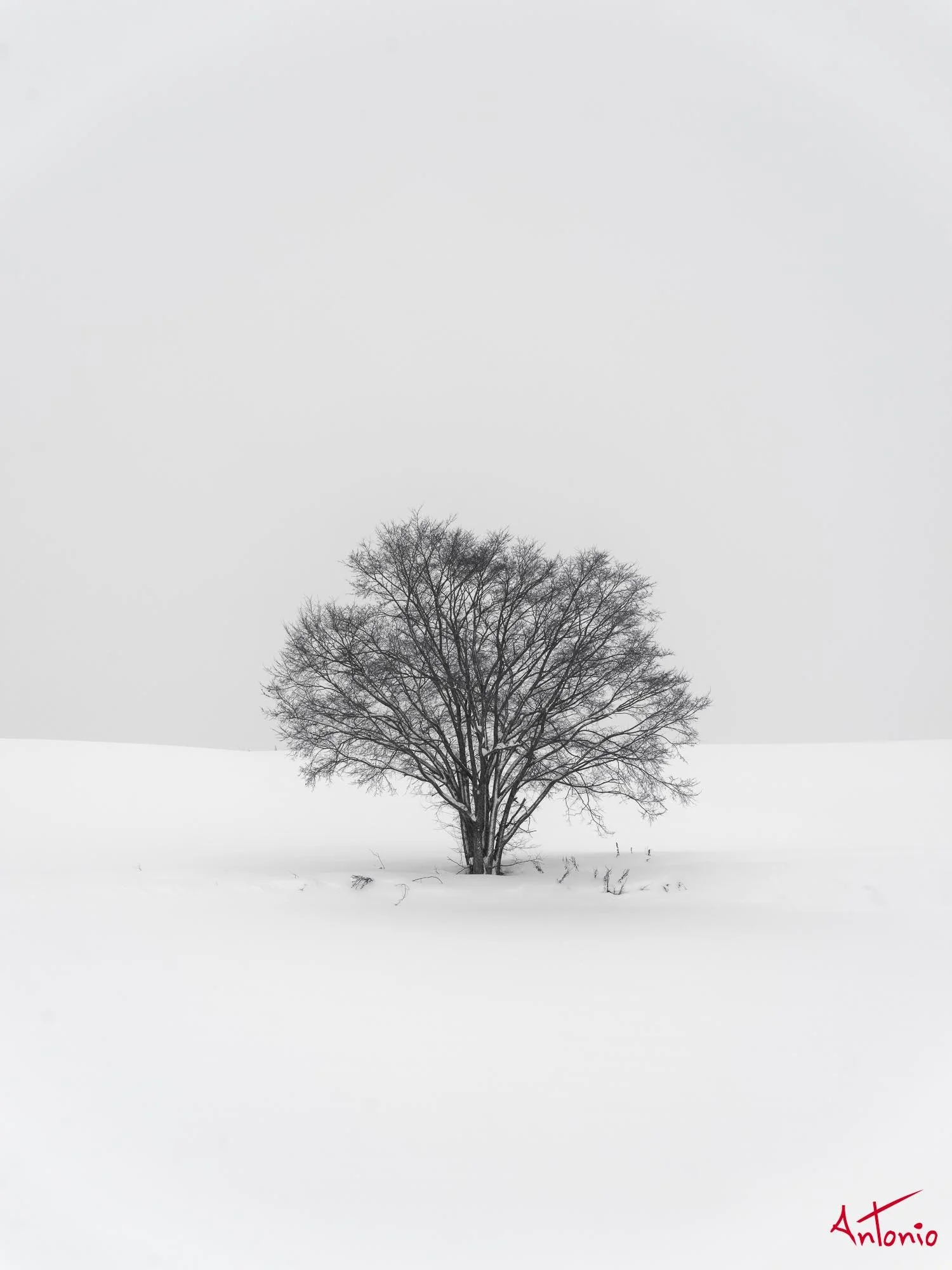 20240110_153052 B0003402 Hokaido.jpg