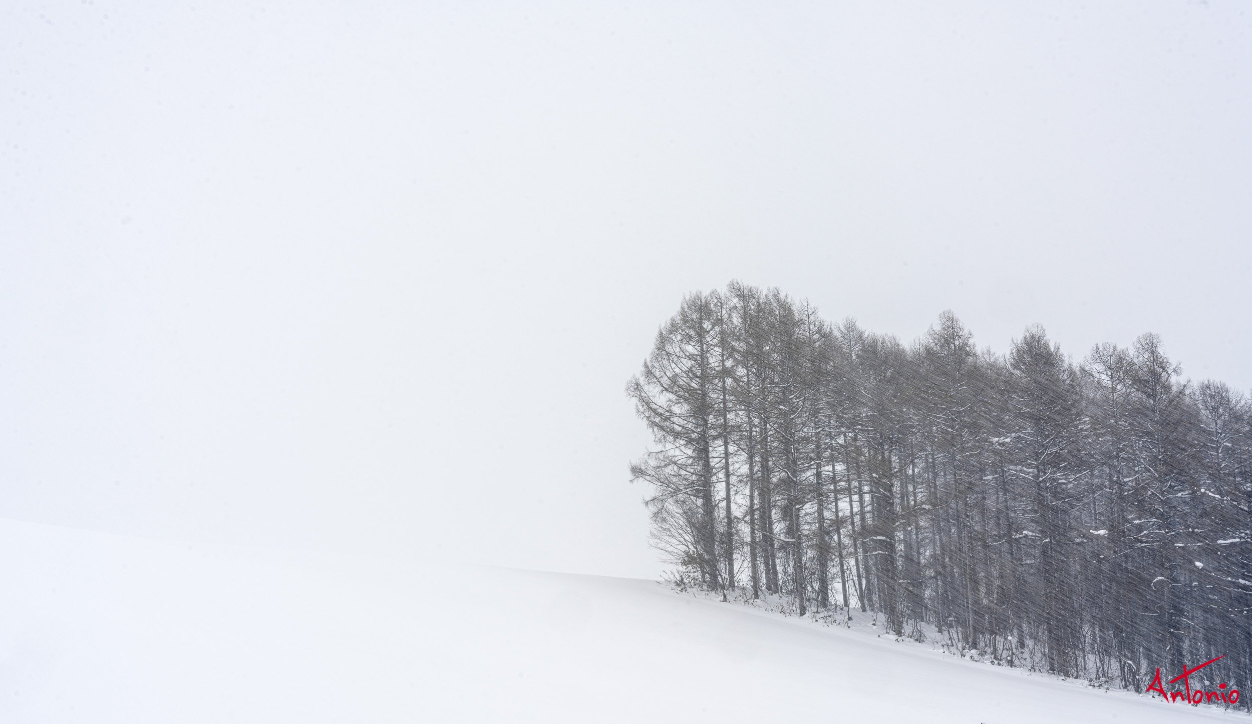 20240109_191626 B0003284 Hokaido, Japan.jpg