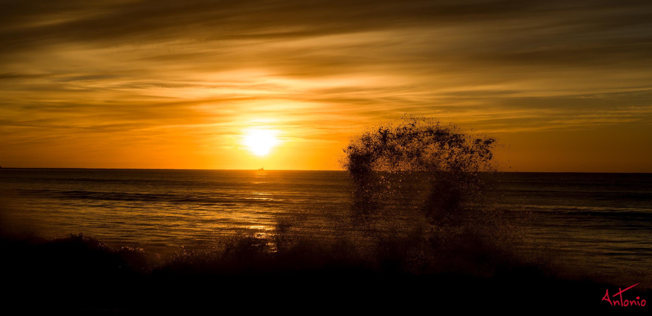 20220320_072714 B0006975 Los Cabos_Edit.jpg