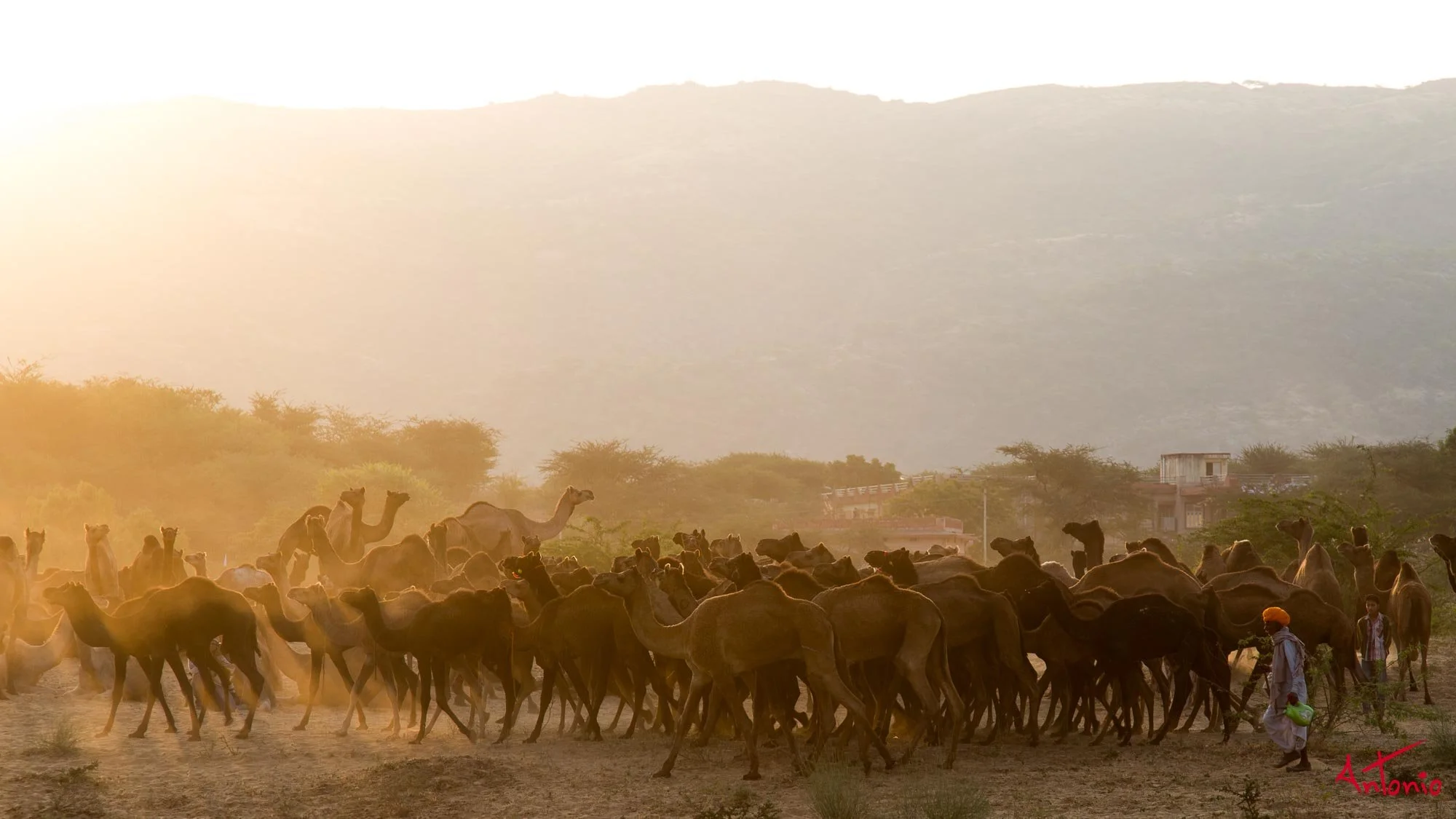 20121124_073619 Pushkar.jpg