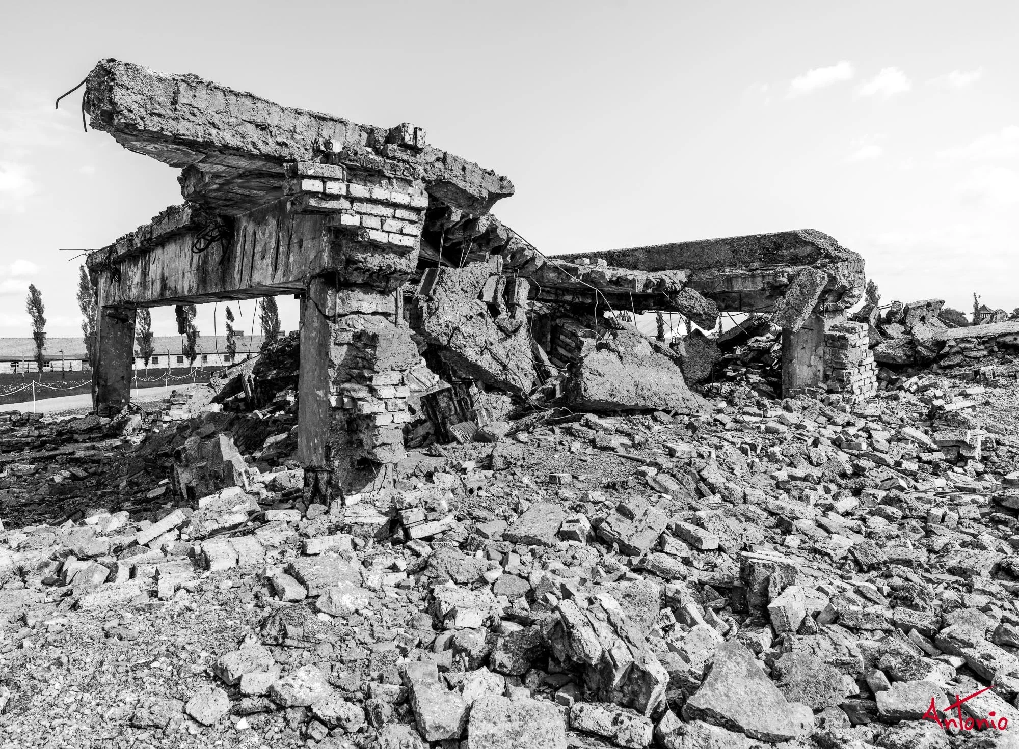 20240820_160628 B0006280 Auschwitz-Brinkenau, Polonia.jpg