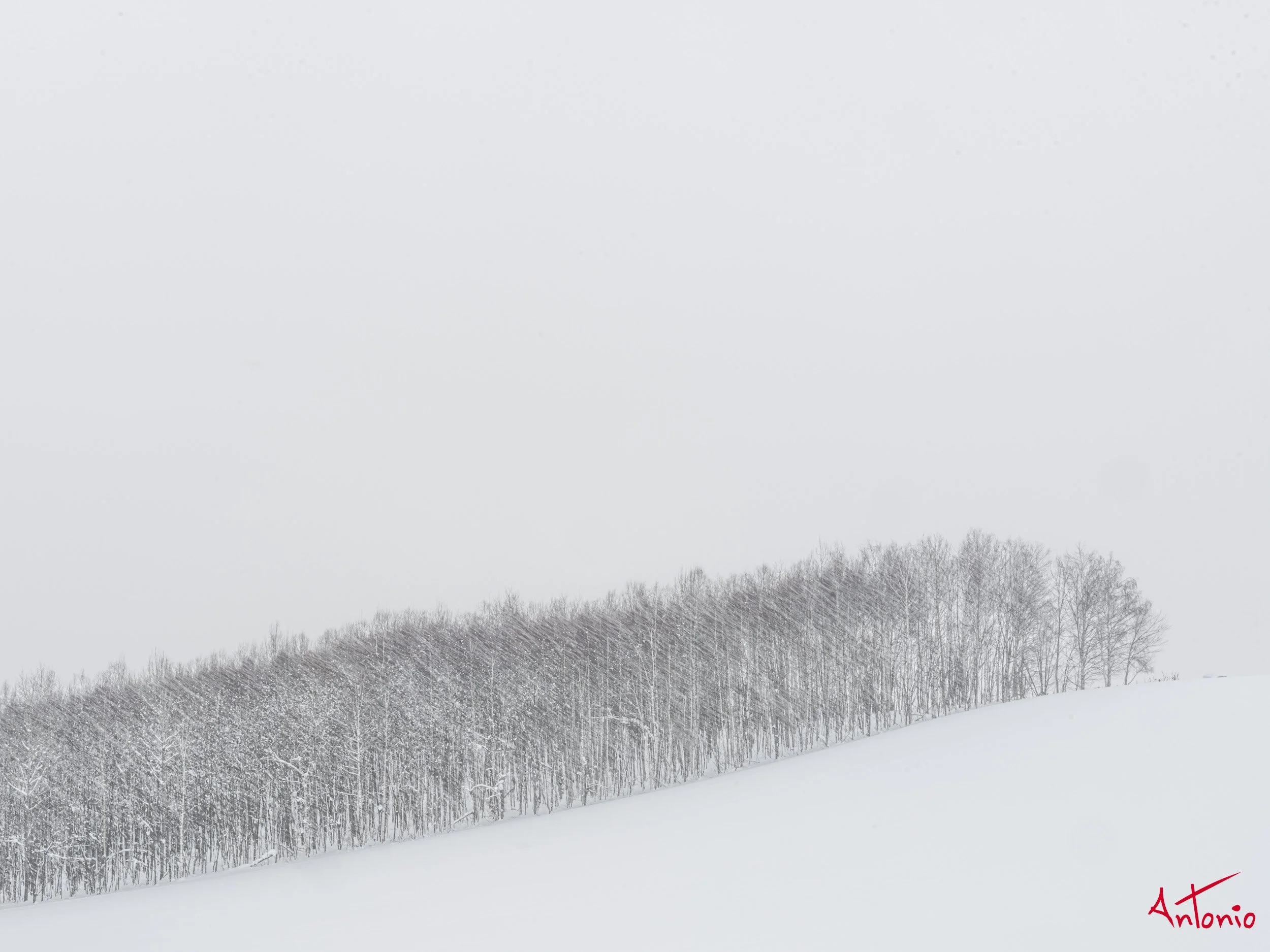 20240107_224848 B0002953 Hokaido, Japan.jpg