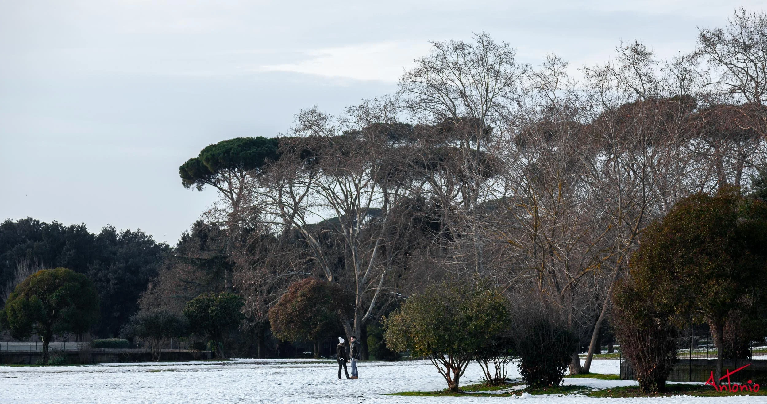 20120212_162955 Roma.jpg