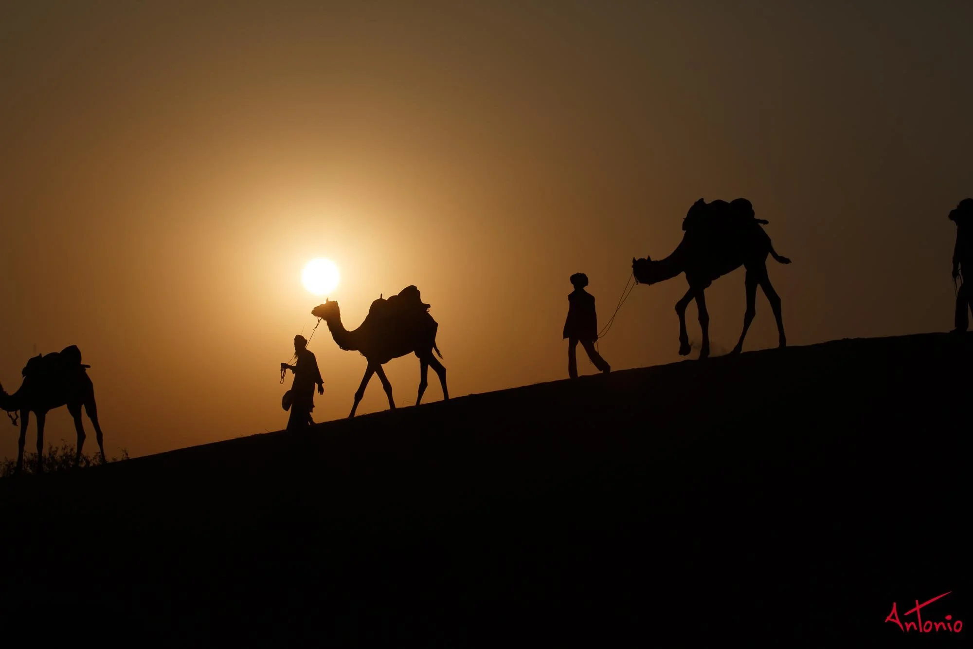 20121122_171151 India_Jamba.jpg