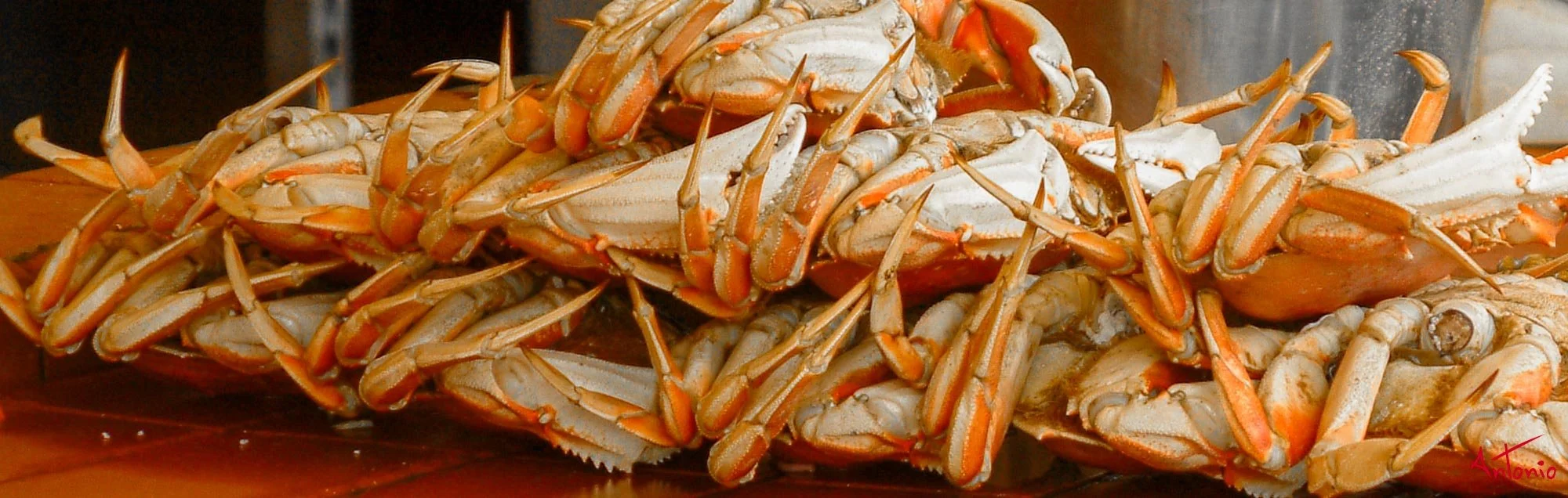 20030110_145957 San Francisco.jpg