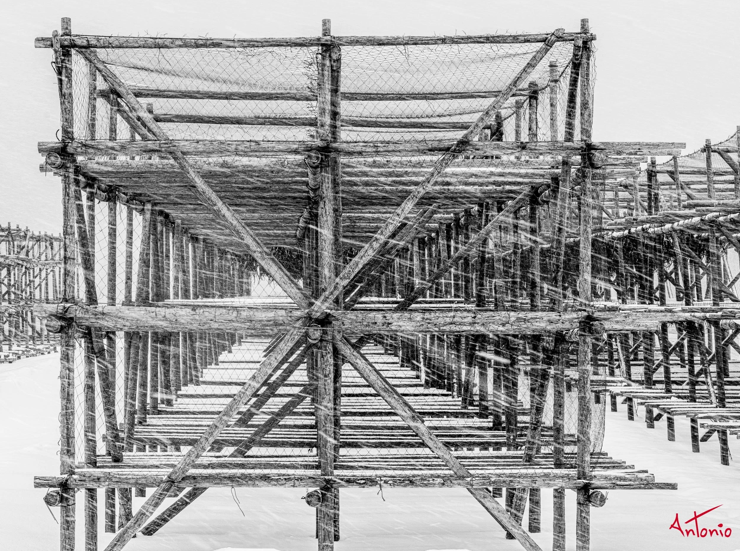 20240114_145308 B0004341 Hokaido.jpg