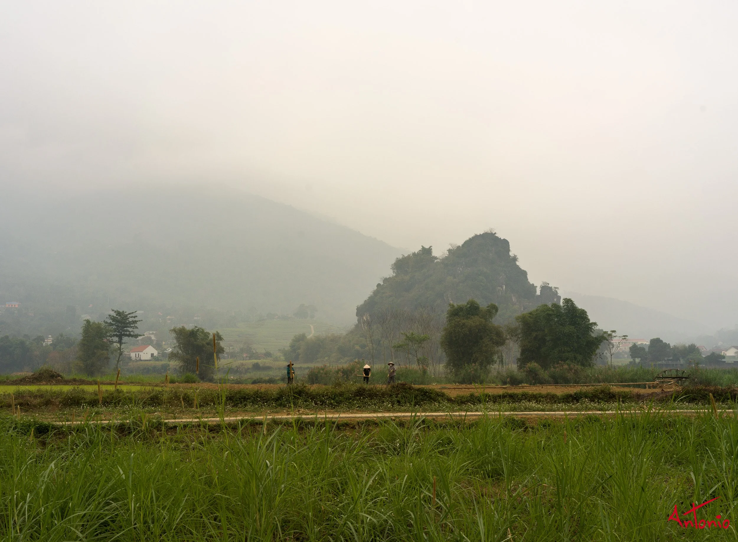 20260204_092125 B0013852 Ban Cong, Vietnam.jpg